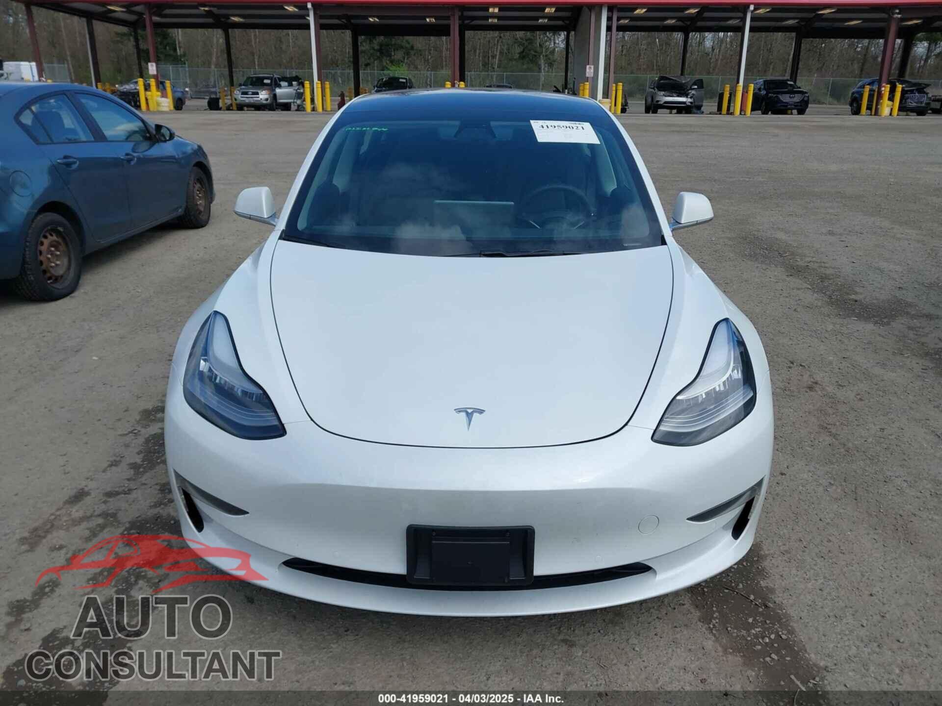TESLA MODEL 3 2019 - 5YJ3E1EA2KF437900