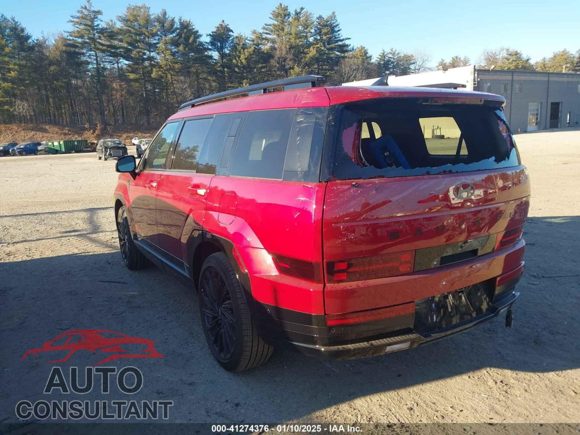 HYUNDAI SANTA FE 2024 - 5NMP5DGLXRH046830