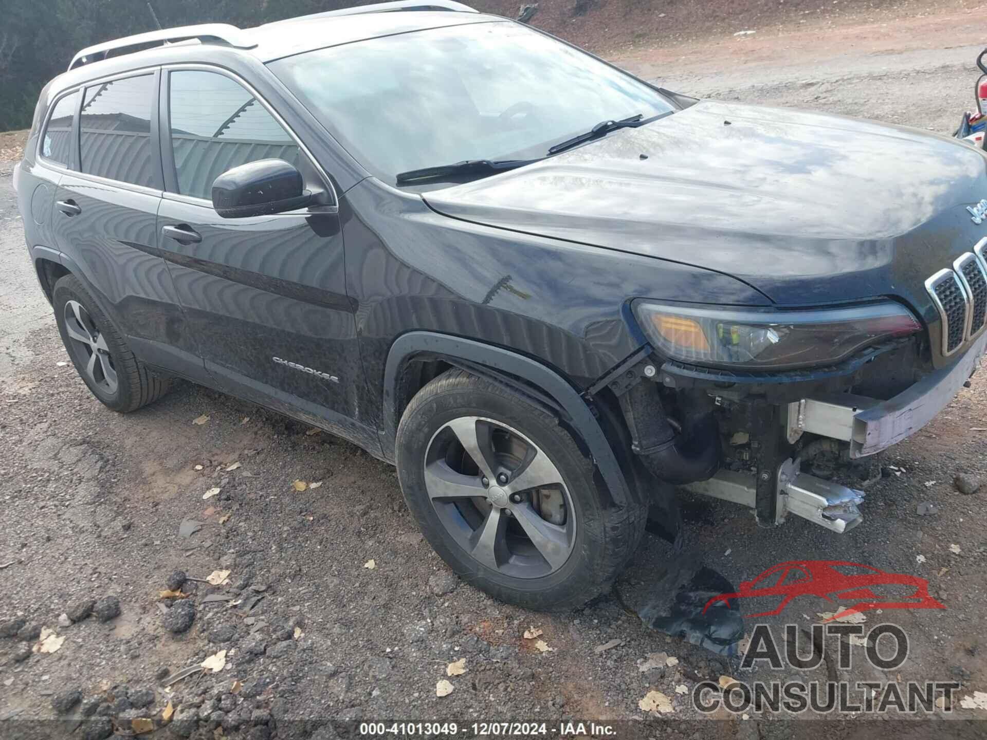 JEEP CHEROKEE 2019 - 1C4PJMDN8KD163130