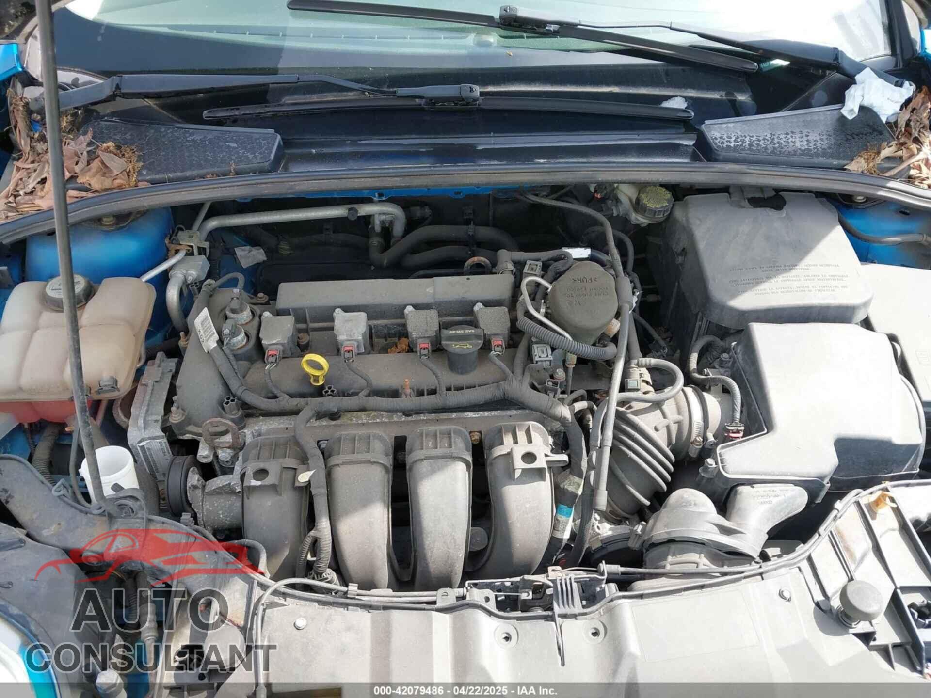 FORD FOCUS 2013 - 1FADP3F26DL361265