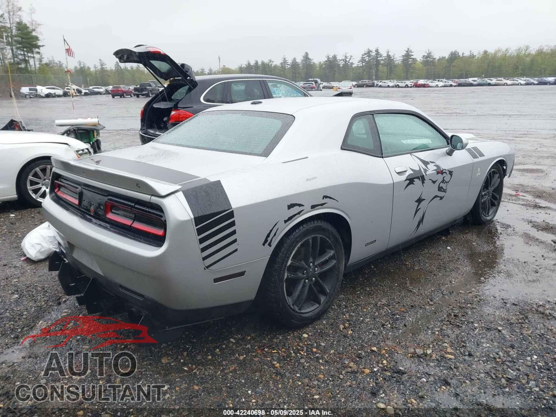 DODGE CHALLENGER 2019 - 2C3CDZGG9KH717332