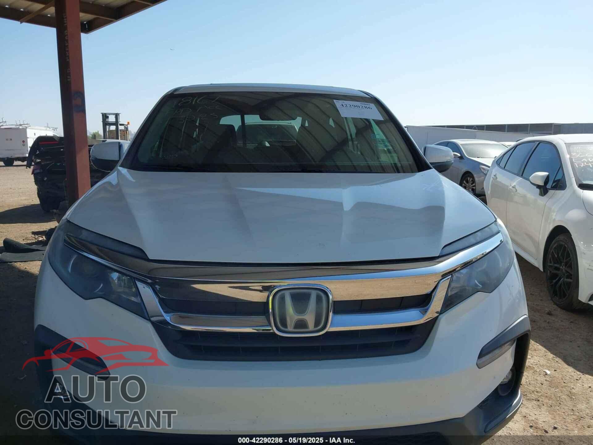 HONDA PILOT 2019 - 5FNYF6H52KB083410