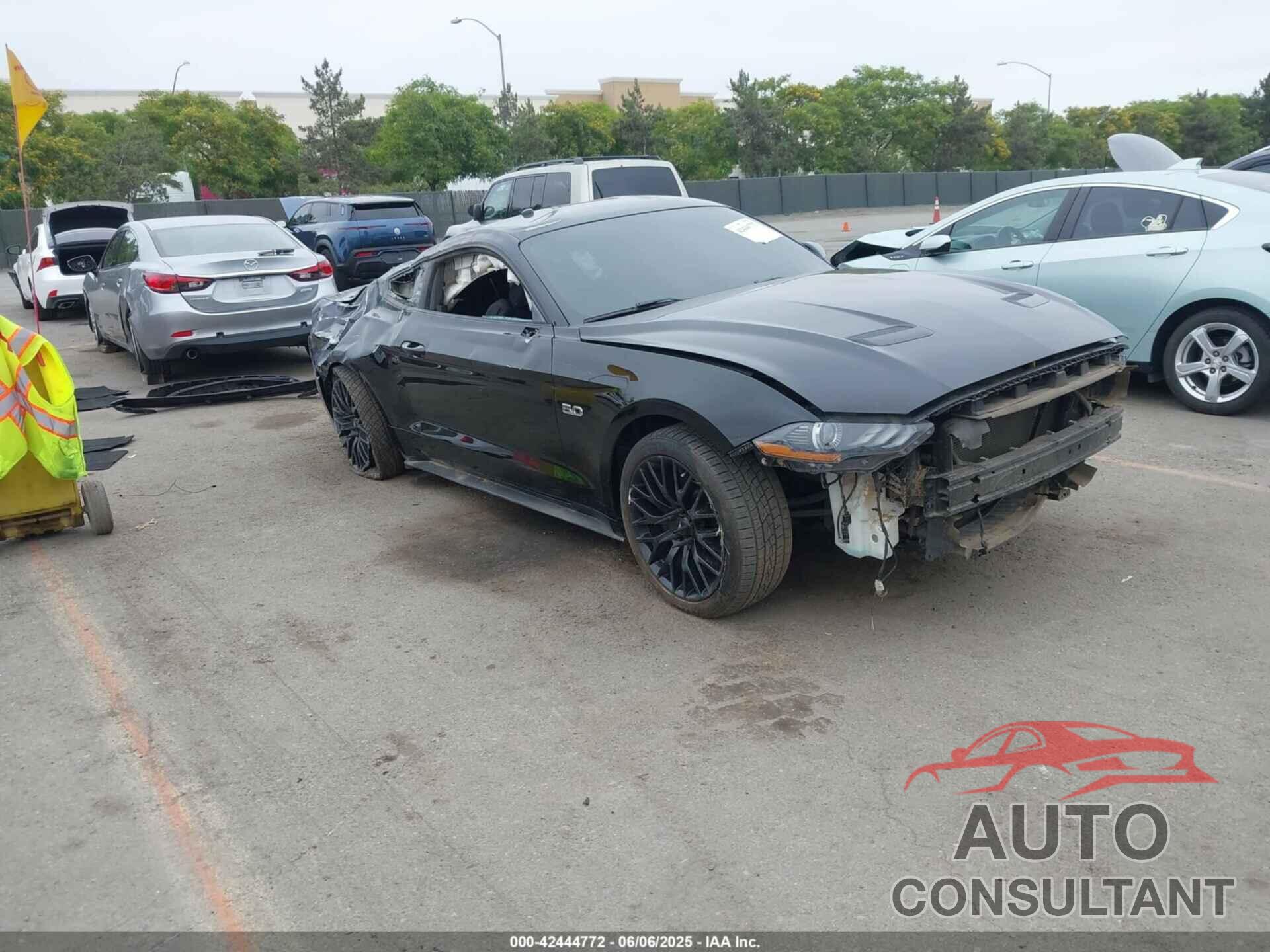 FORD MUSTANG 2019 - 1FA6P8CF3K5112243