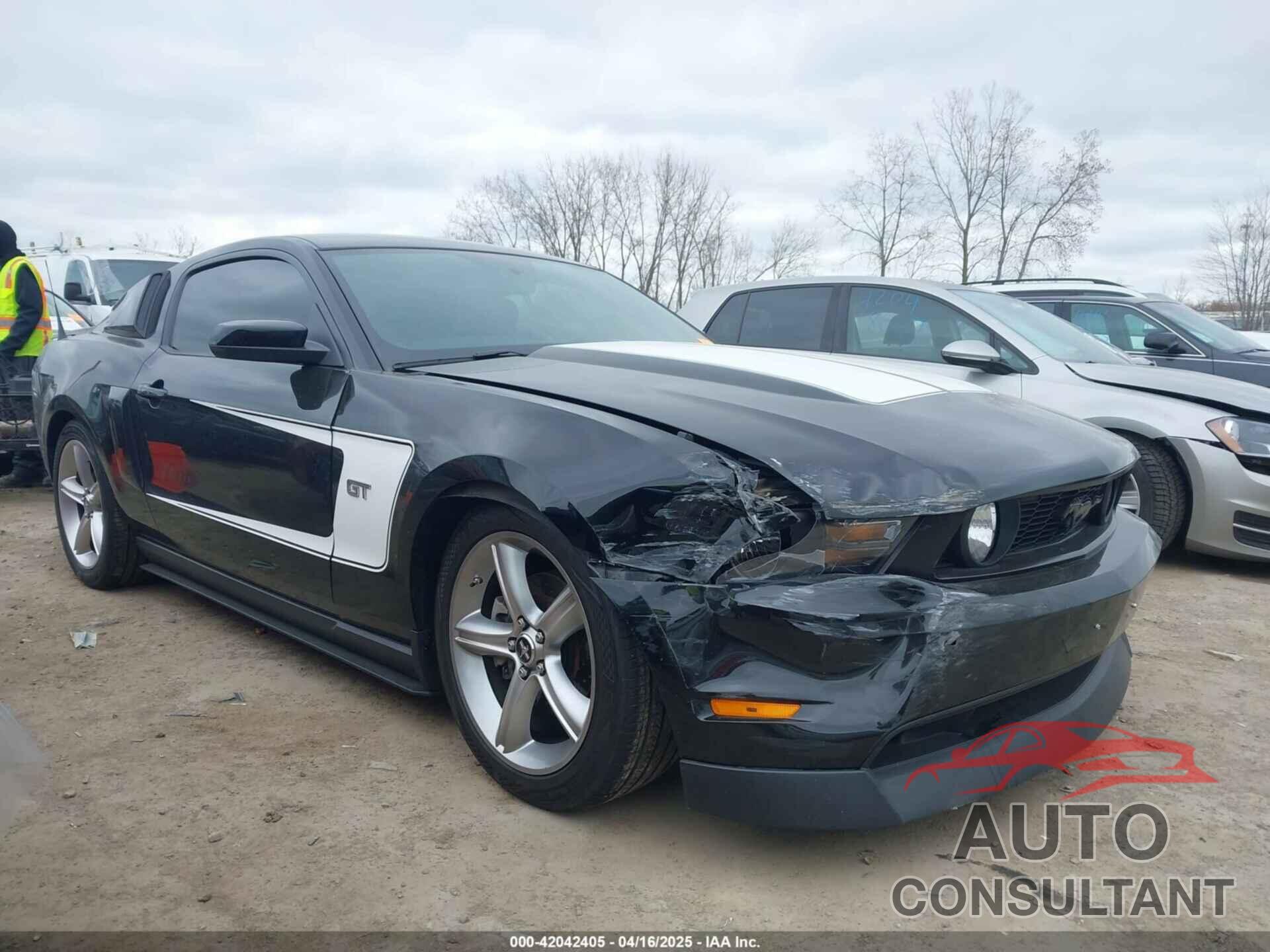 FORD MUSTANG 2010 - 1ZVBP8CHXA5134181