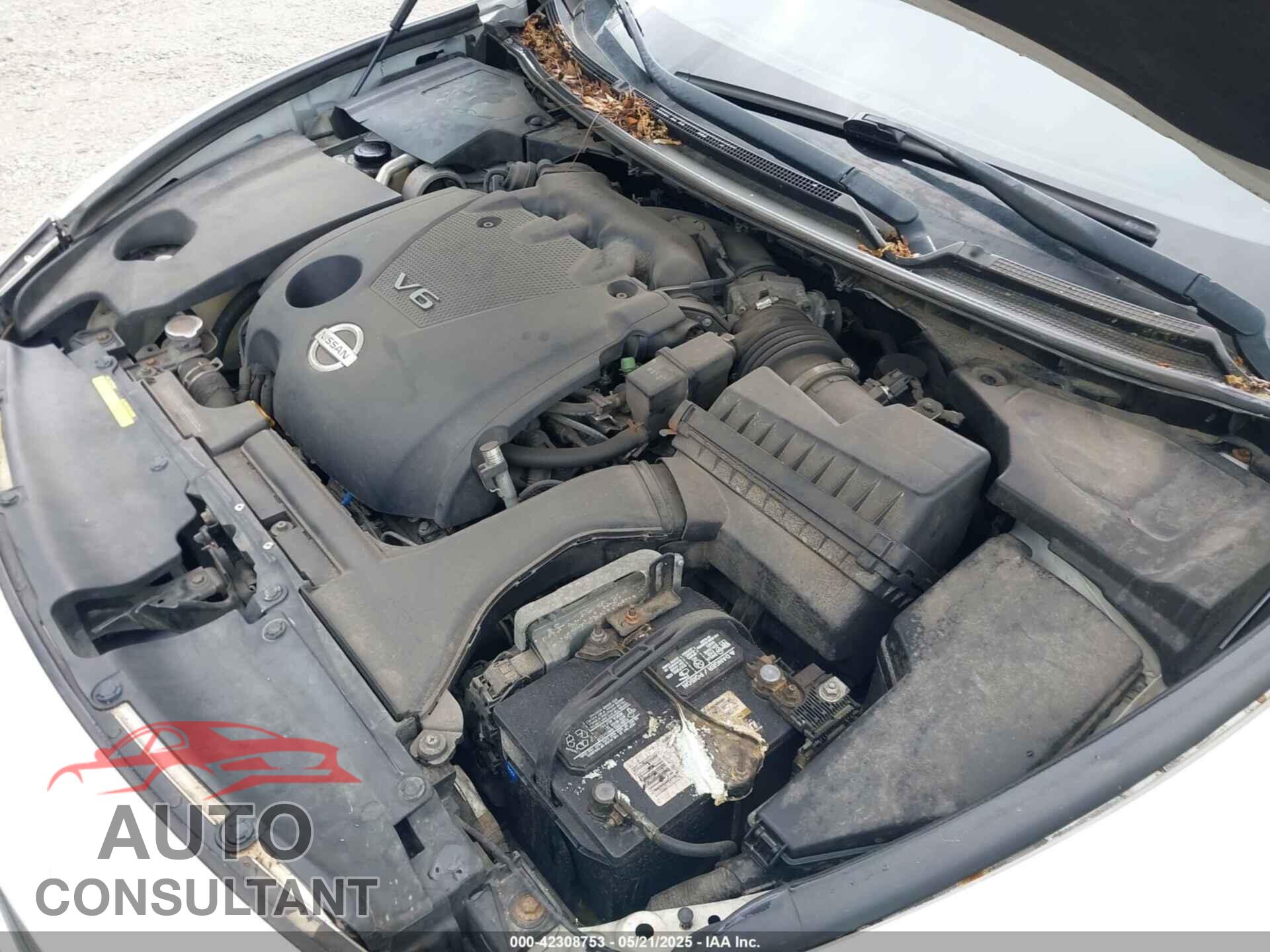NISSAN MAXIMA 2012 - 1N4AA5APXCC843044