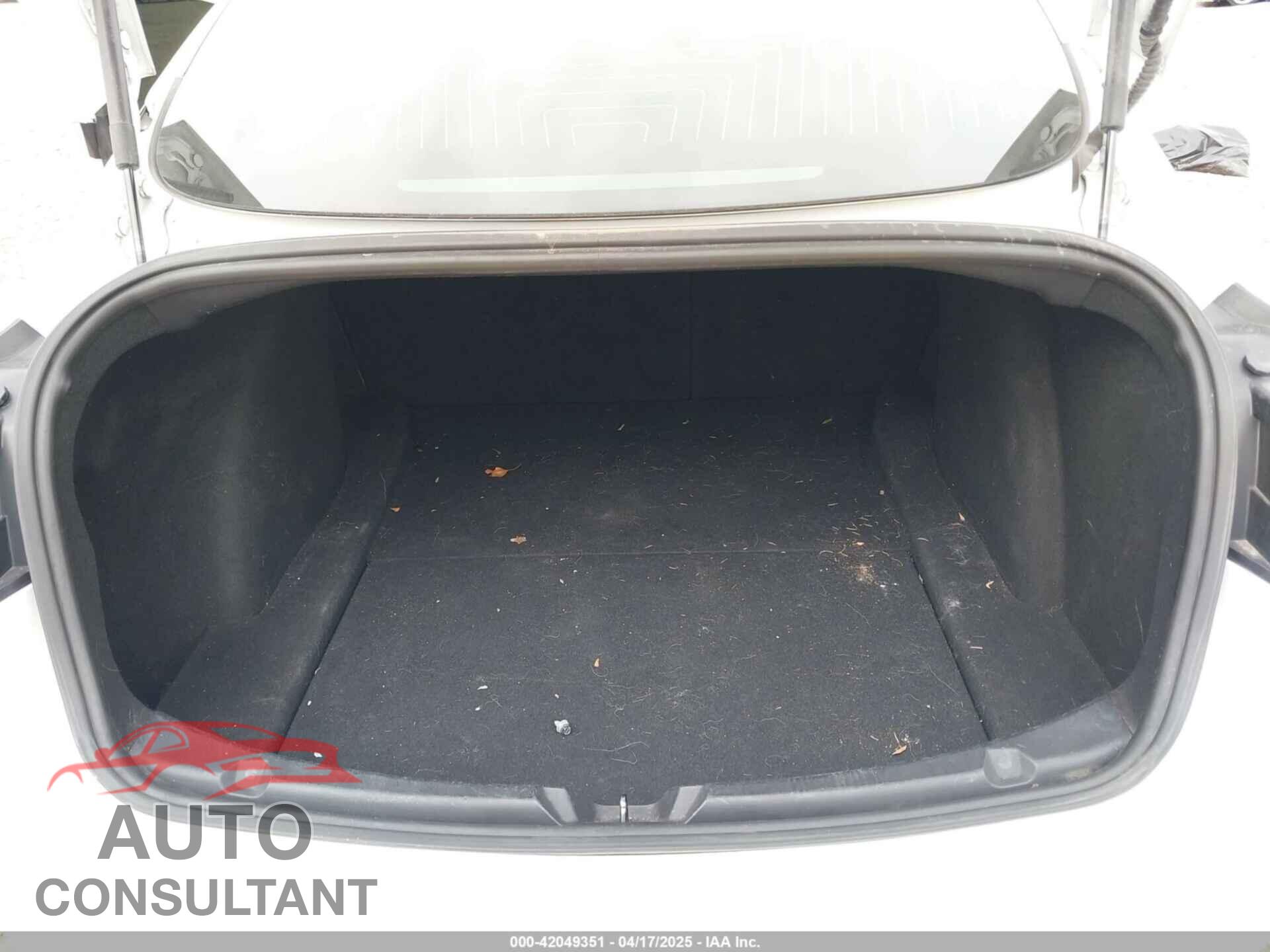 TESLA MODEL 3 2019 - 5YJ3E1EB1KF388052