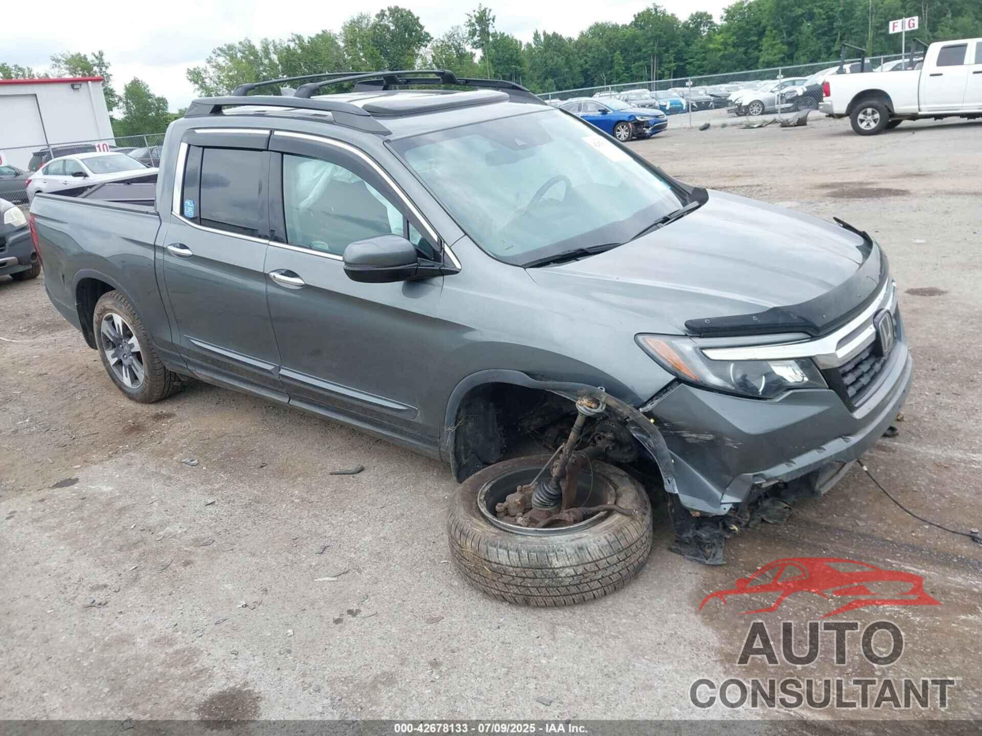 HONDA RIDGELINE 2019 - 5FPYK3F79KB015658