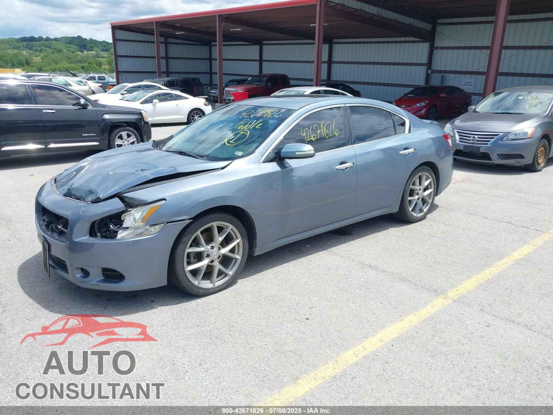NISSAN MAXIMA 2010 - 1N4AA5AP4AC844929