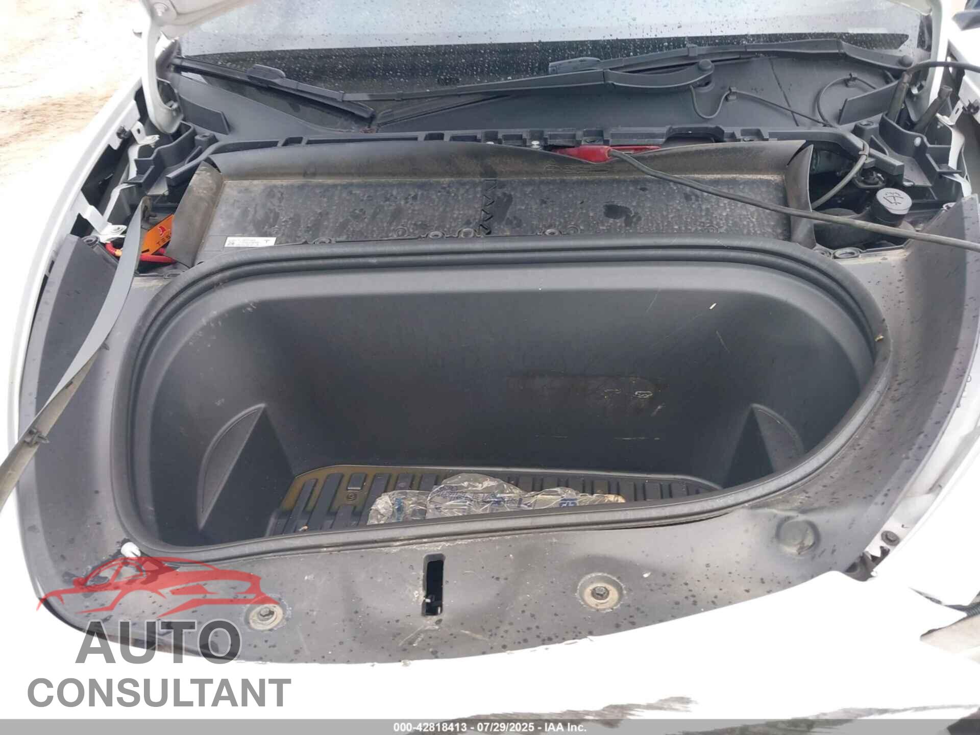 TESLA MODEL Y 2022 - 7SAYGDEF8NF515438