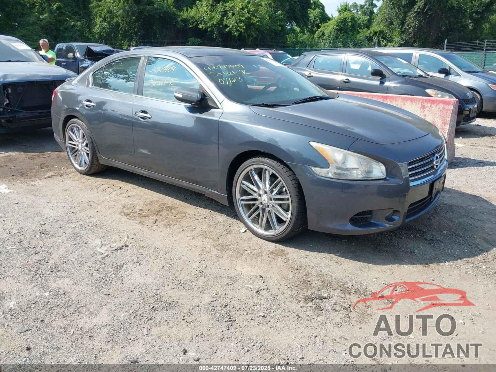 NISSAN MAXIMA 2010 - 1N4AA5AP8AC847493