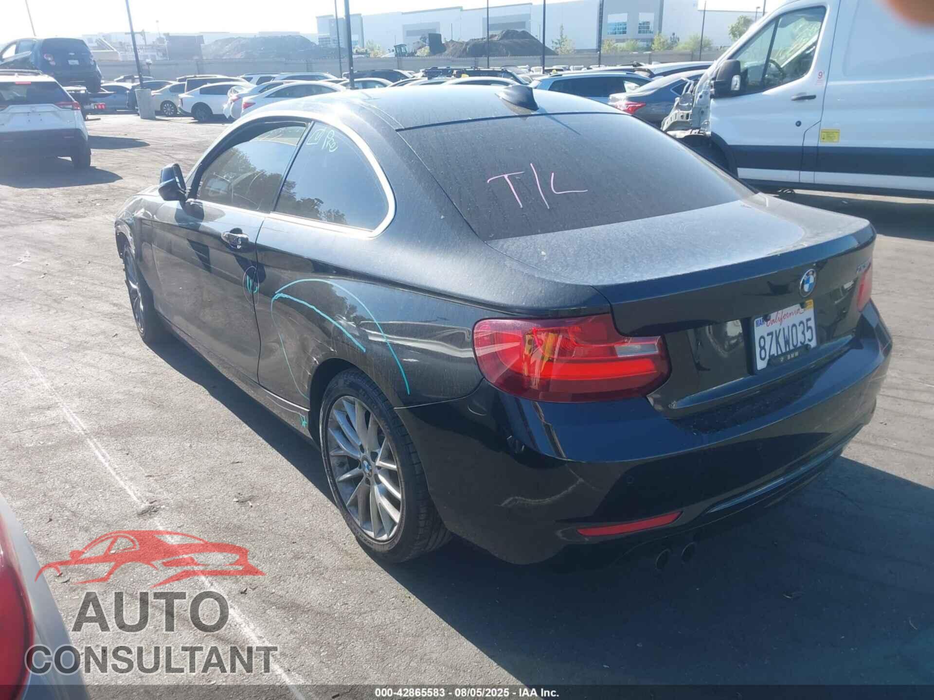 BMW 228I 2016 - WBA1F9C53GV546185