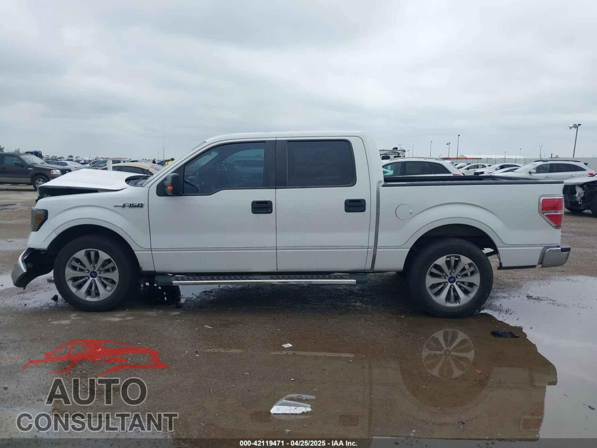 FORD F-150 2013 - 1FTFW1CF4DFD68084