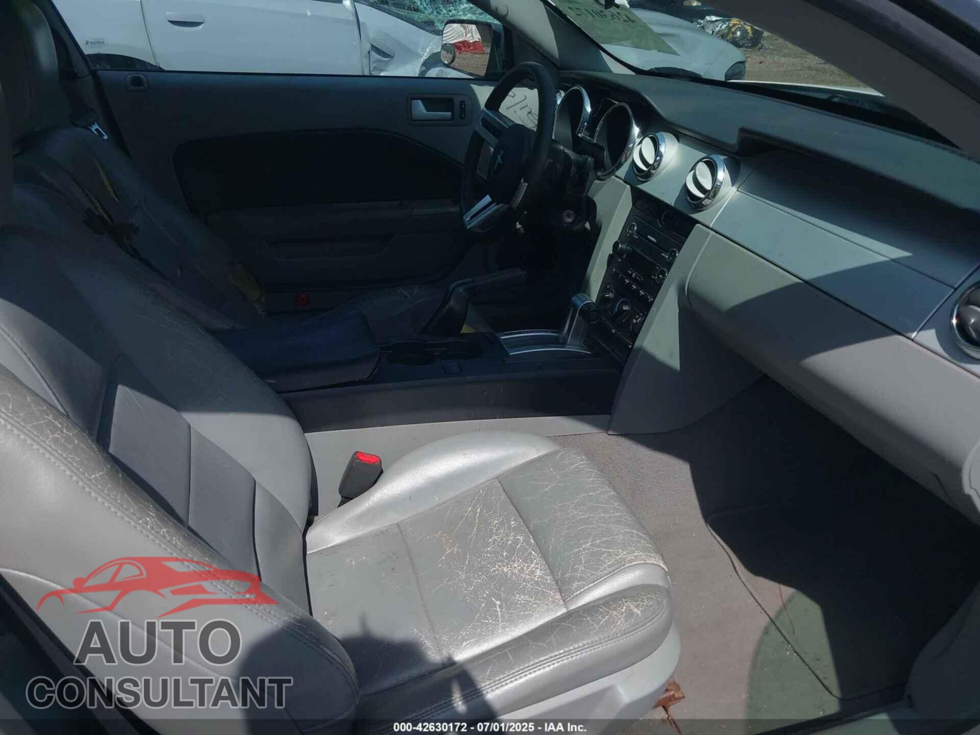 FORD MUSTANG 2009 - 1ZVHT80N695118314