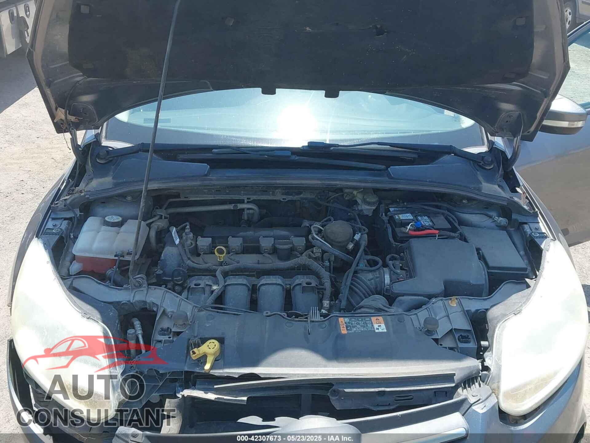 FORD FOCUS 2014 - 1FADP3F28EL336532