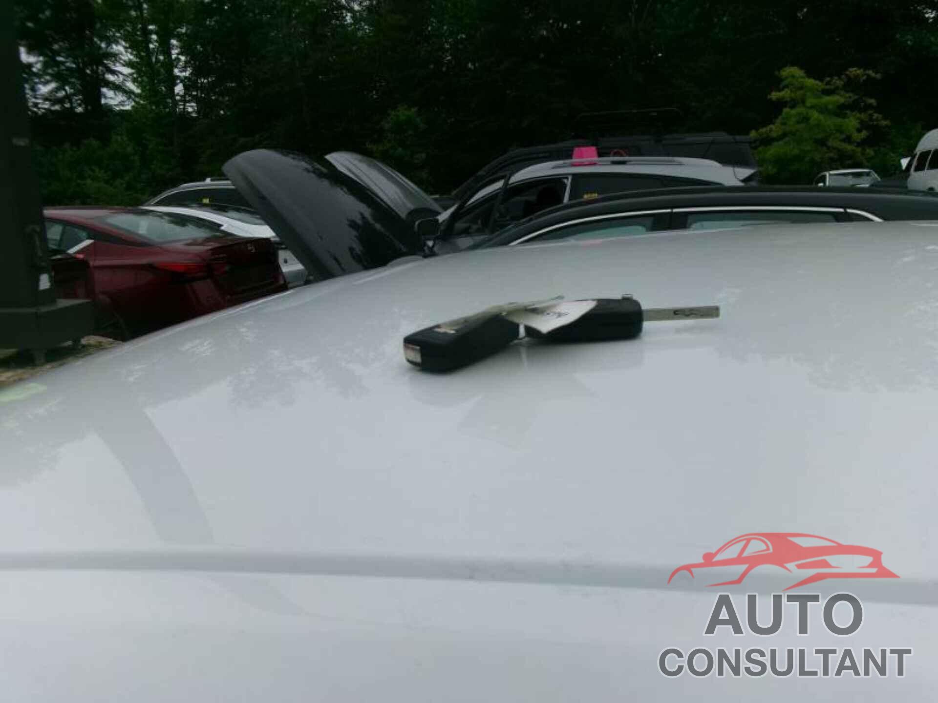 CHEVROLET MALIBU LIMITED 2016 - 1G11C5SAXGU135741