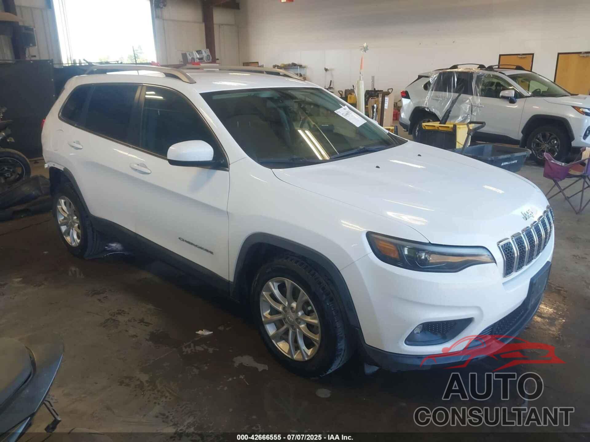 JEEP CHEROKEE 2019 - 1C4PJLCB8KD222839