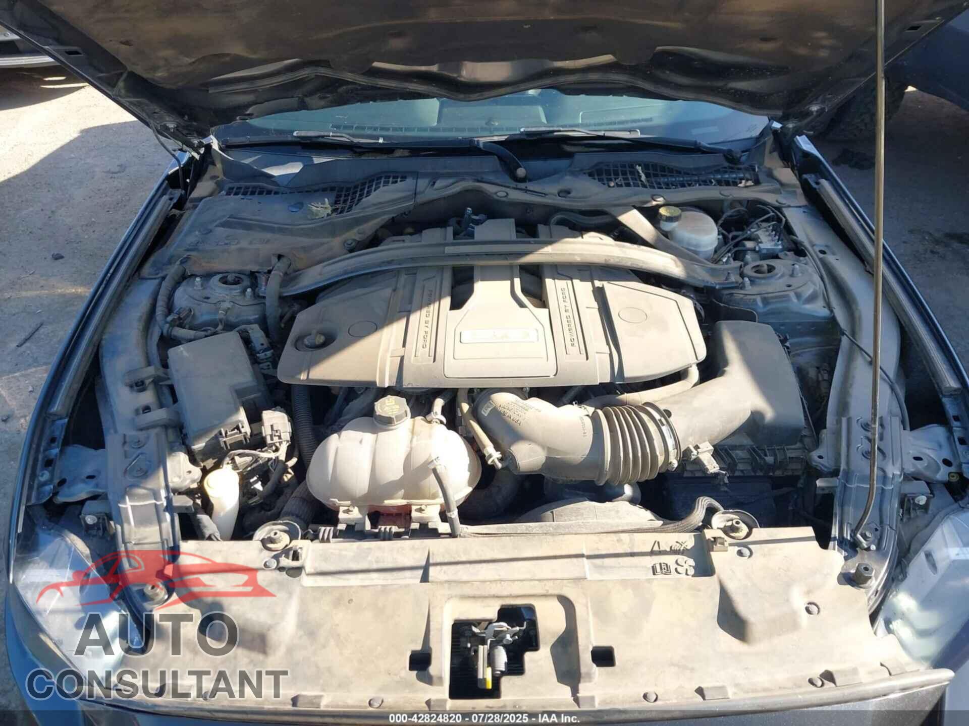 FORD MUSTANG 2019 - 1FA6P8CFXK5110022
