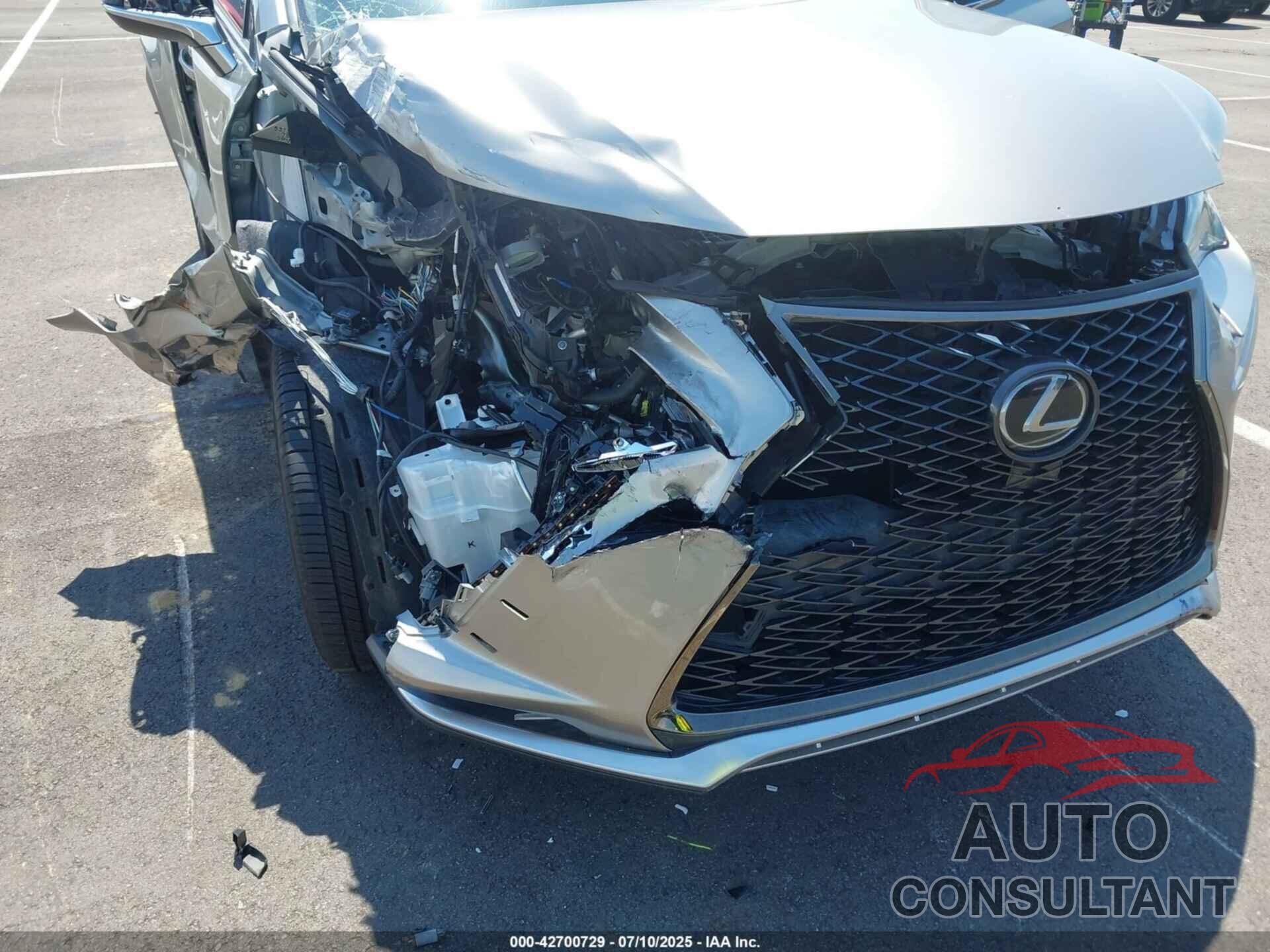 LEXUS NX 300 2020 - JTJJARBZXL2171569
