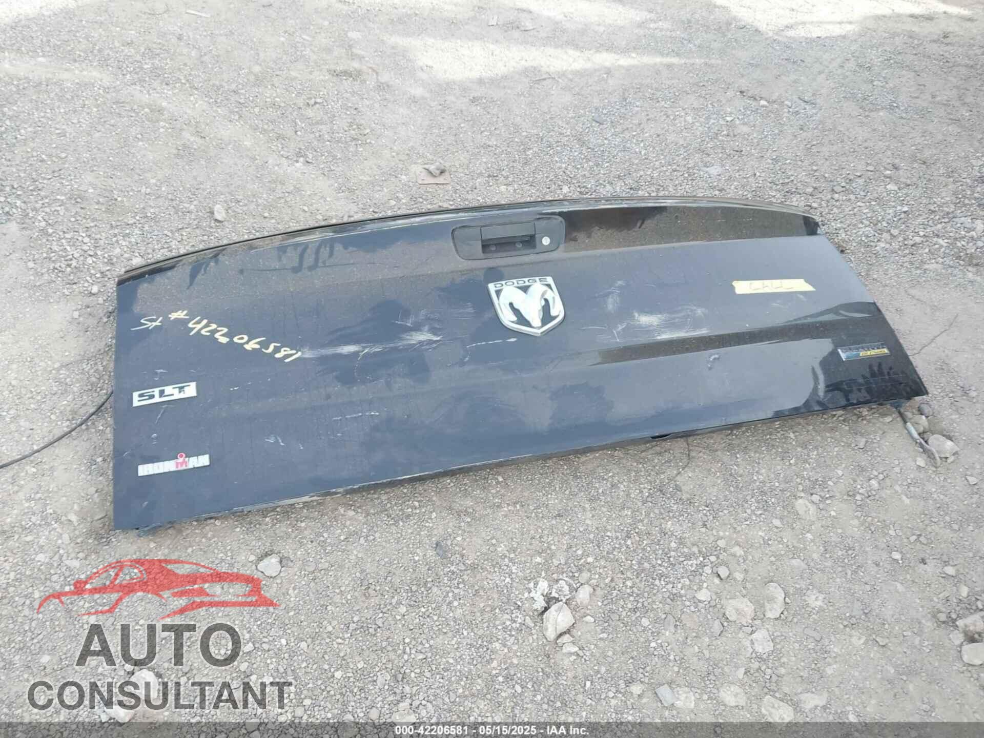 DODGE RAM 1500 2010 - 1D7RB1GP4AS225575