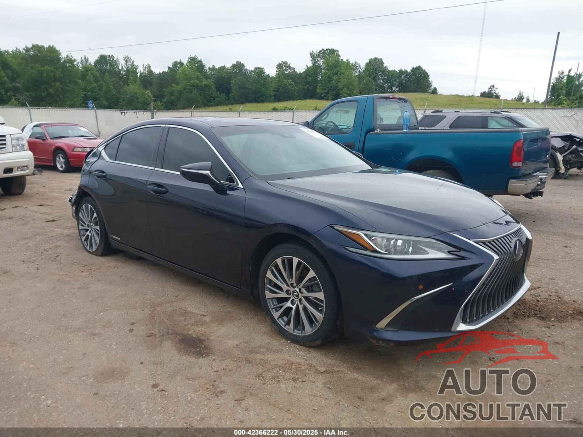 LEXUS ES 300H 2019 - 58AB21B13KU004168
