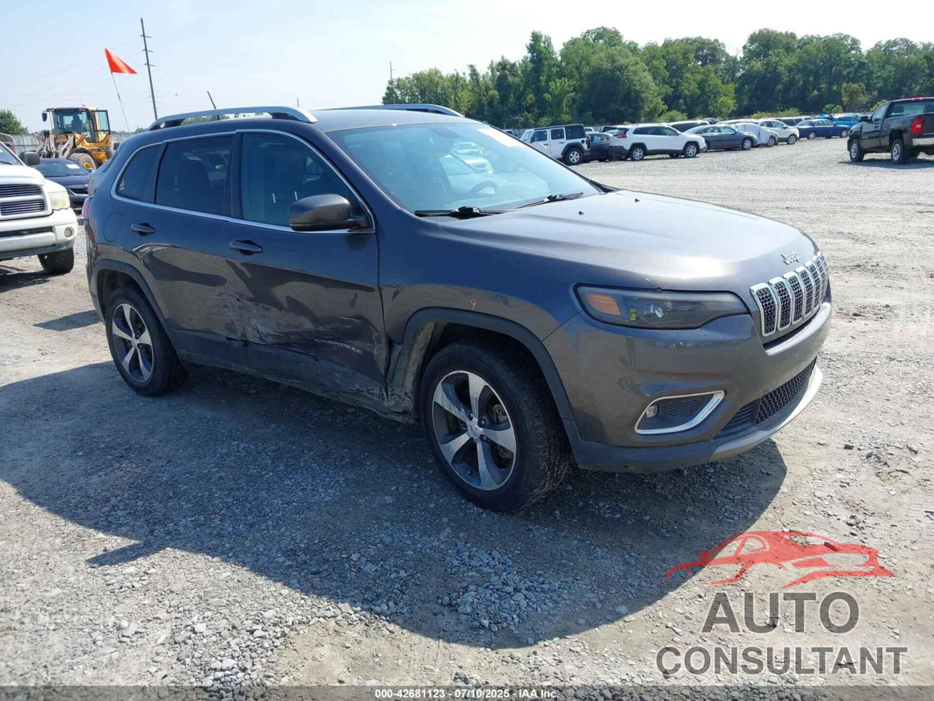 JEEP CHEROKEE 2019 - 1C4PJMDX4KD303627