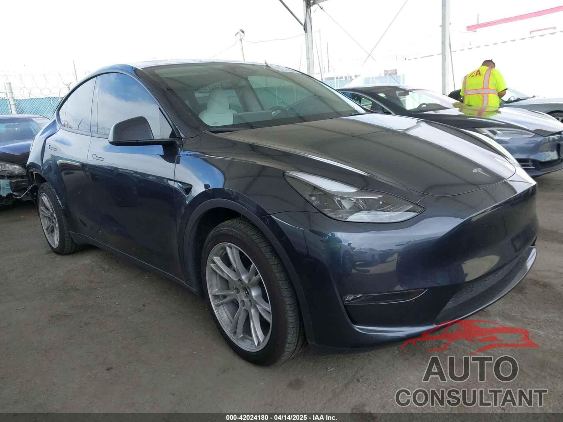 TESLA MODEL Y 2024 - 7SAYGDEE2RF069588