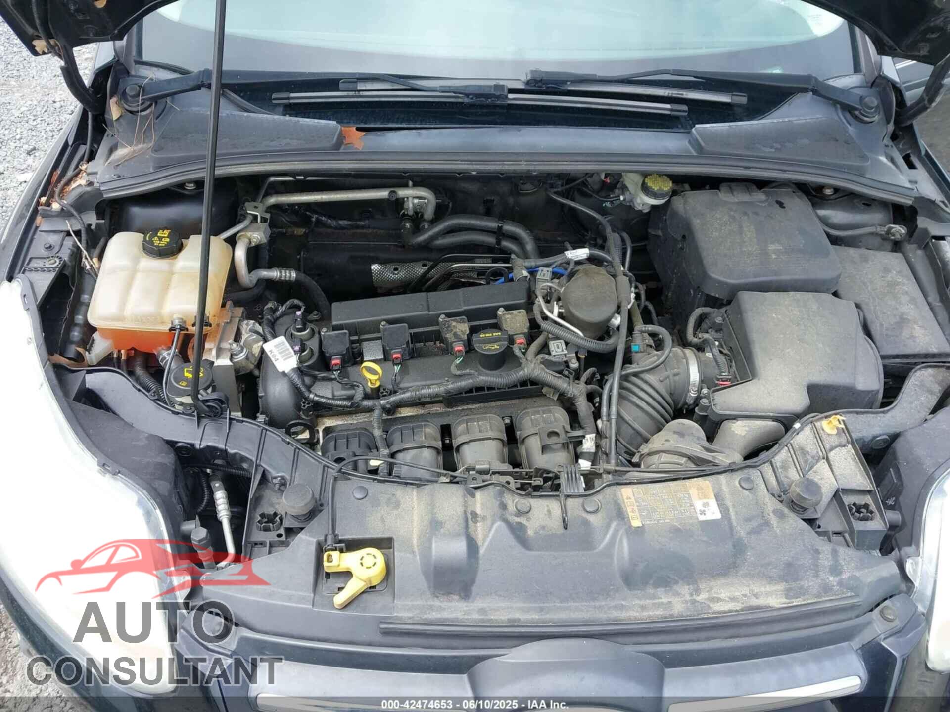 FORD FOCUS 2014 - 1FADP3K2XEL320225