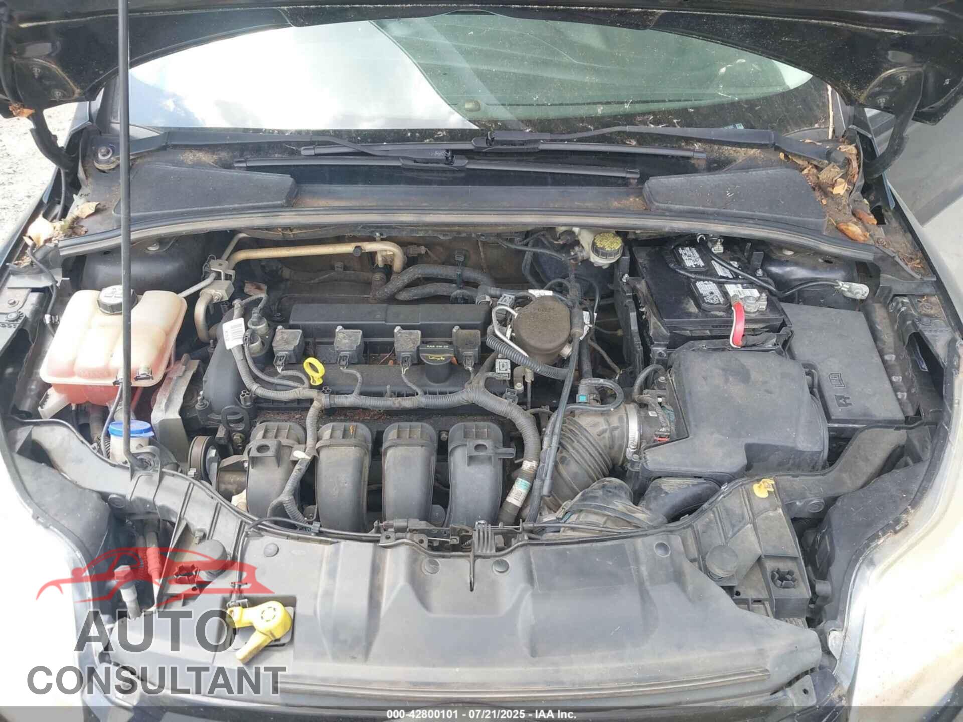 FORD FOCUS 2012 - 1FAHP3H20CL397692