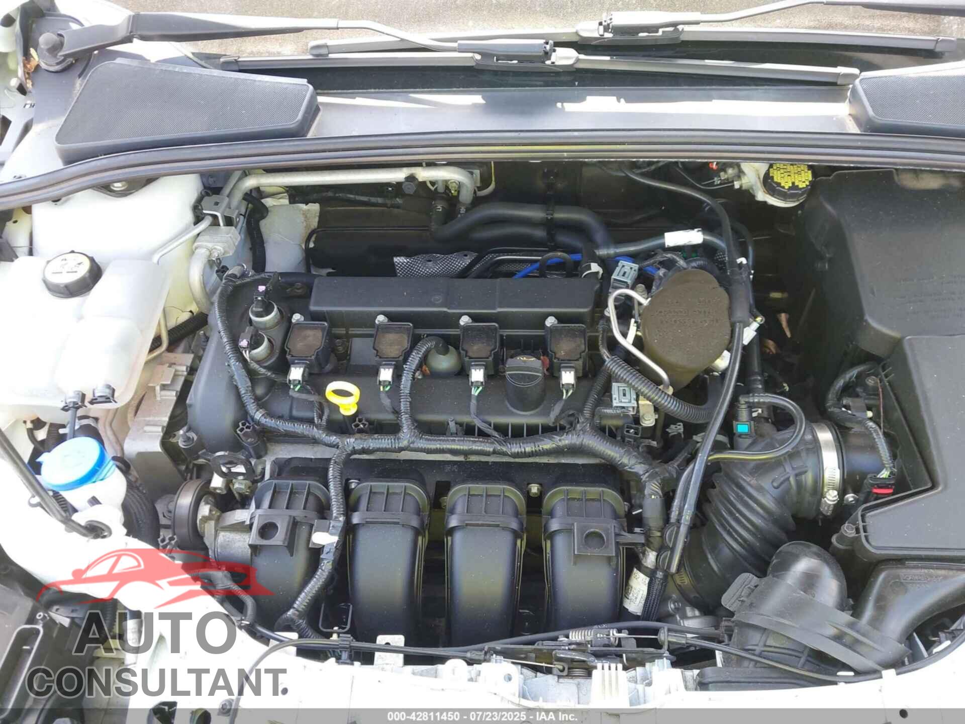 FORD FOCUS 2016 - 1FADP3F22GL300841