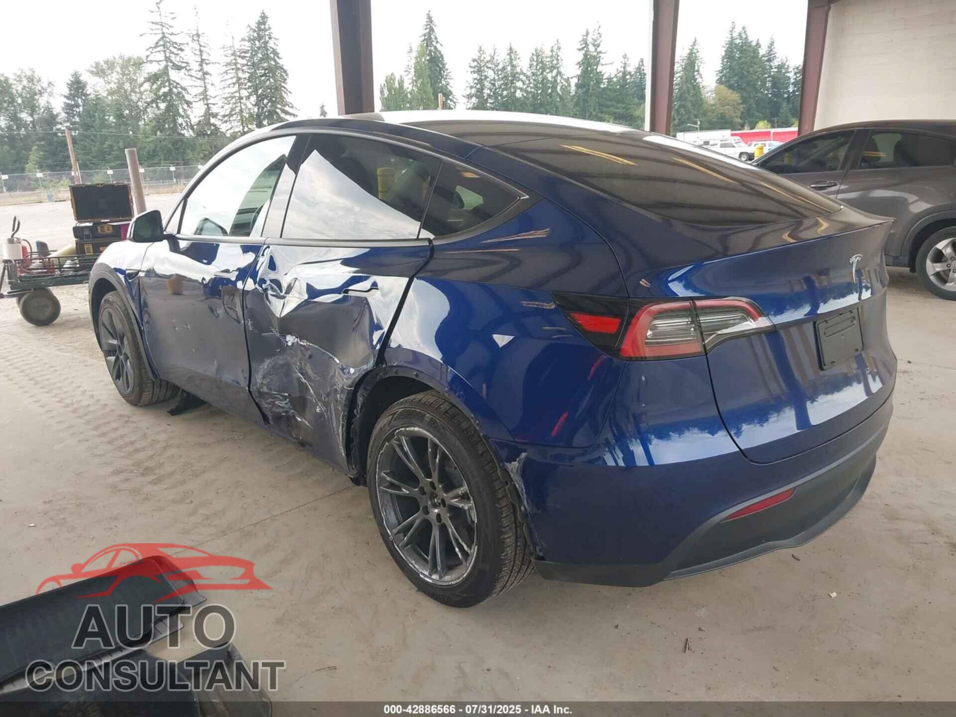 TESLA MODEL Y 2024 - 7SAYGDED5RF121075