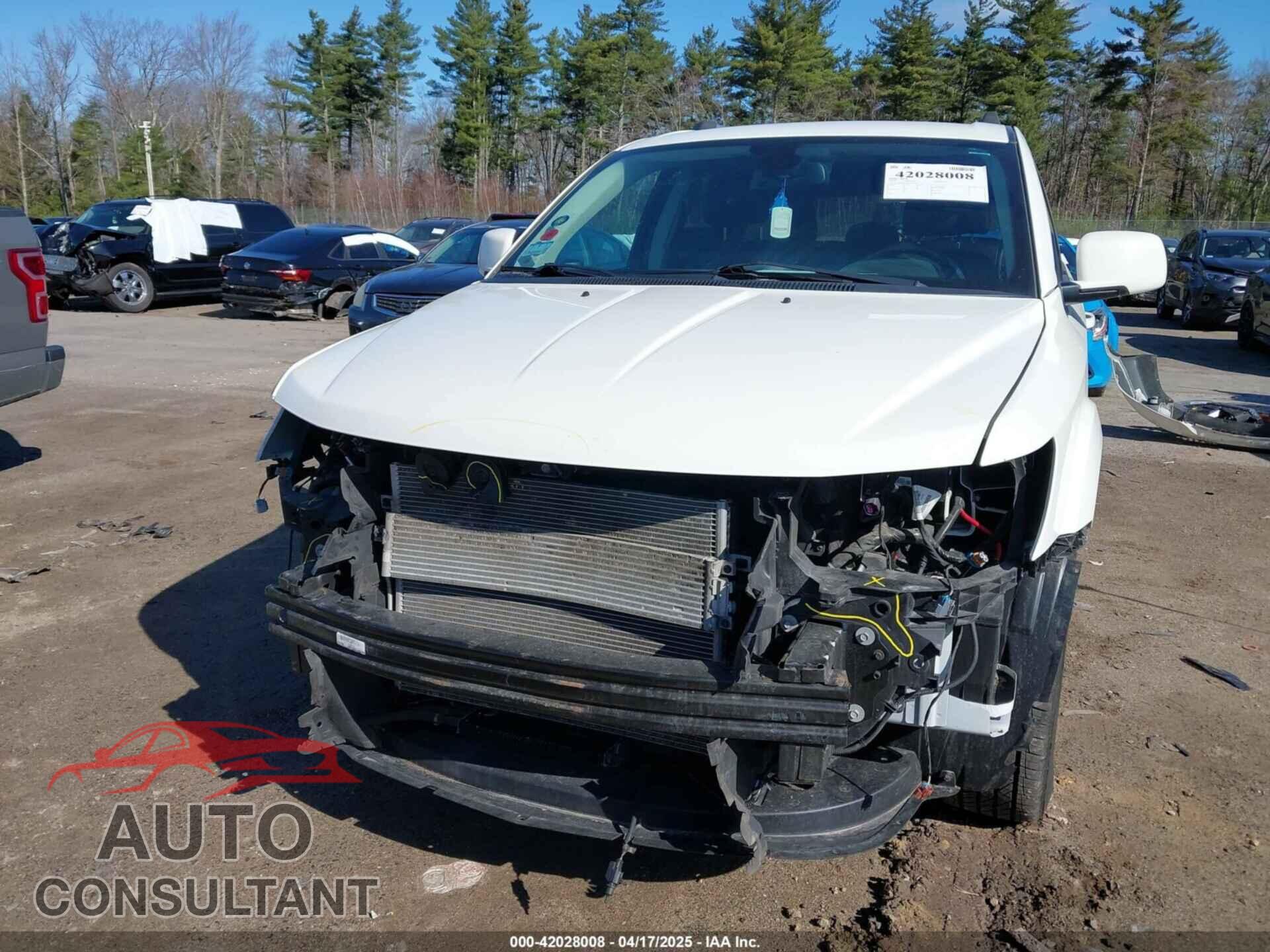 DODGE JOURNEY 2019 - 3C4PDDGGXKT848891