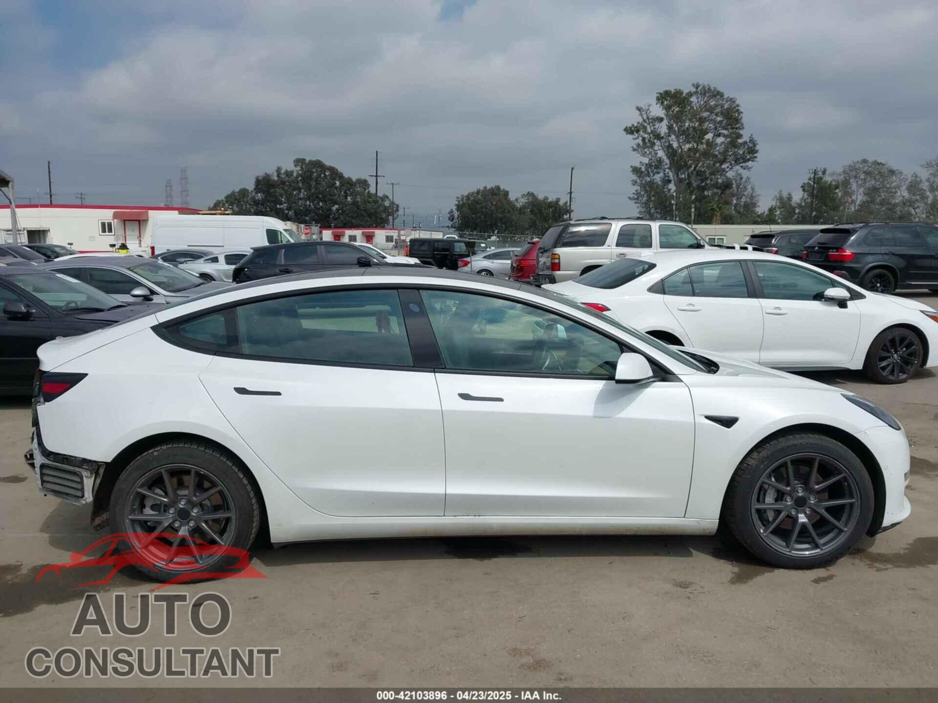 TESLA MODEL 3 2021 - 5YJ3E1EA3MF054115