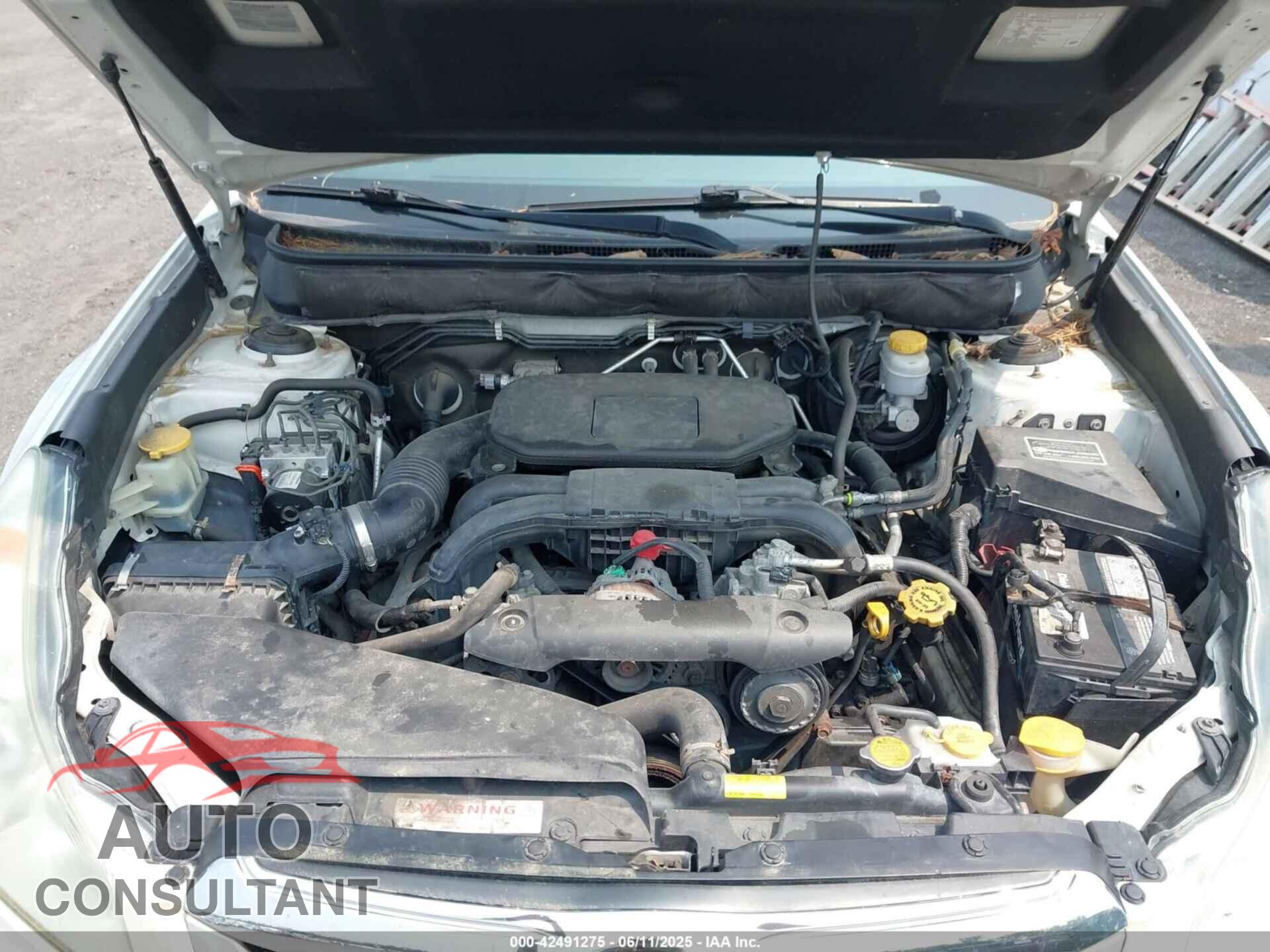 SUBARU OUTBACK 2011 - 4S4BRBCC5B3446108