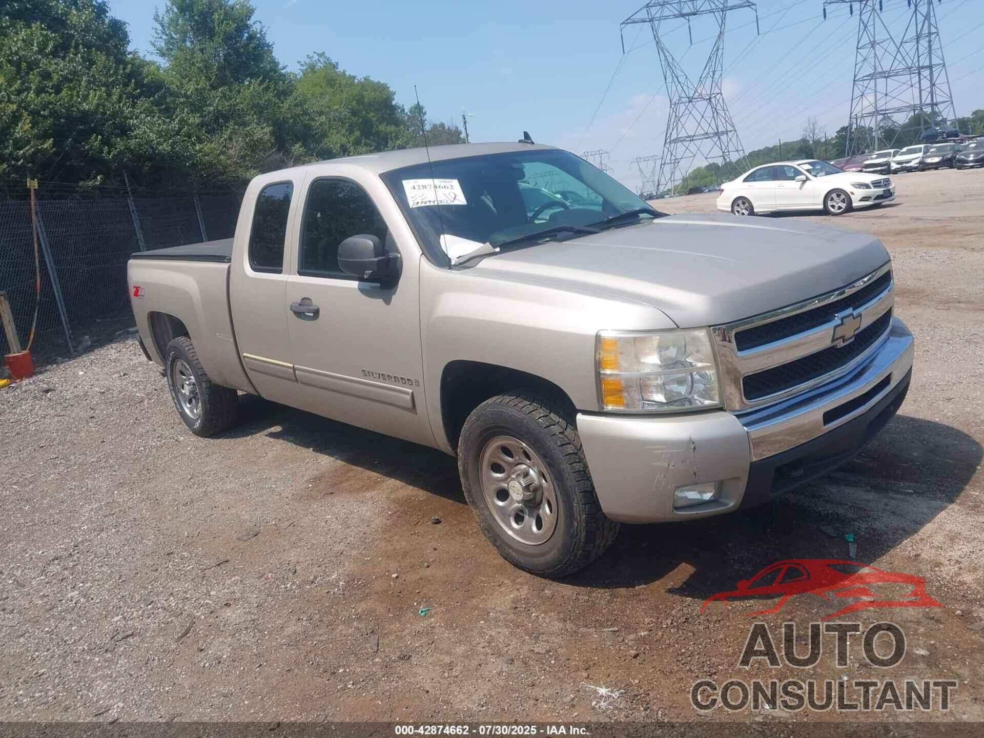 CHEVROLET SILVERADO 1500 2009 - 1GCEK29J29Z255068