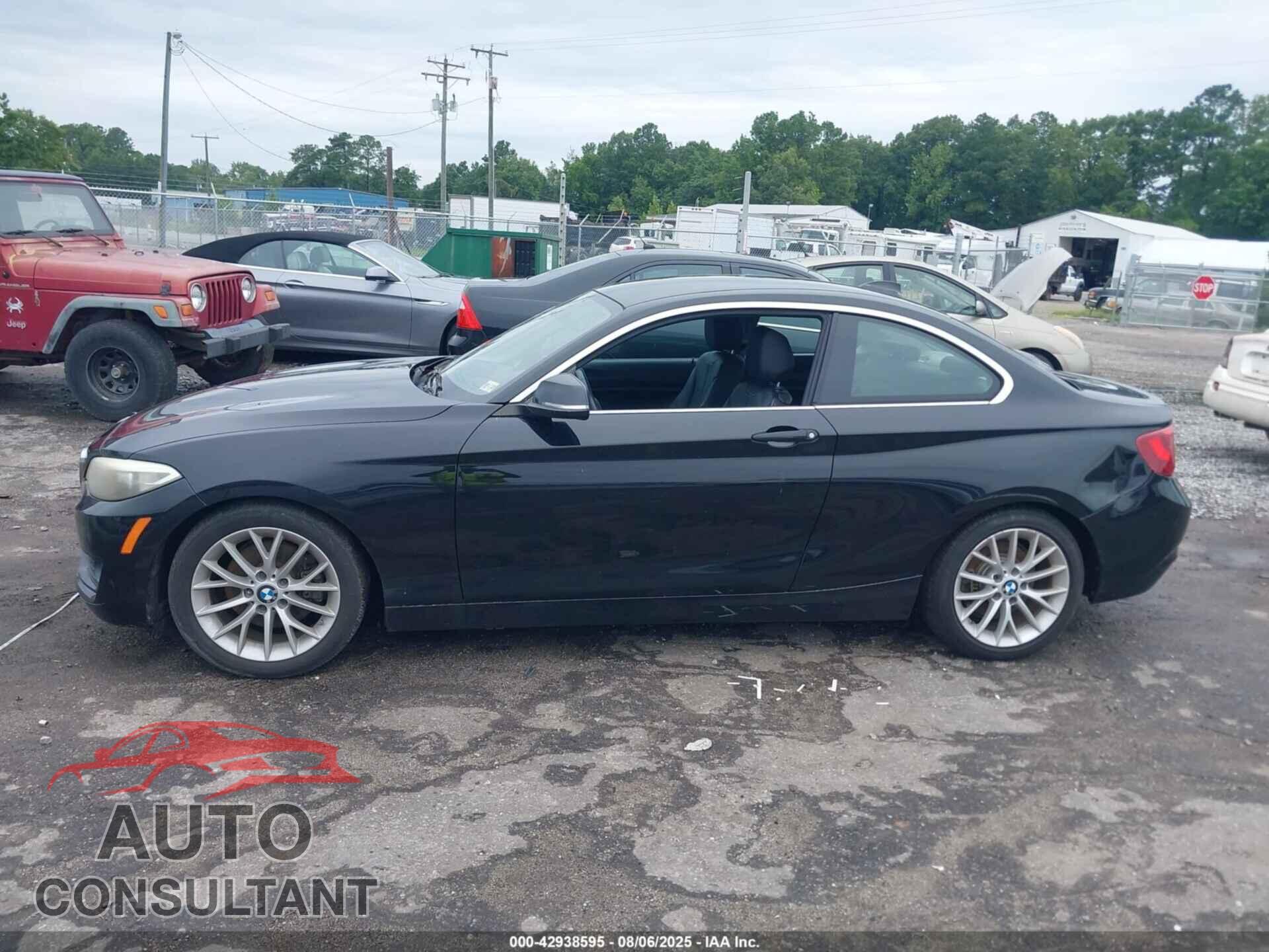BMW 228I 2014 - WBA1F5C50EVW97894