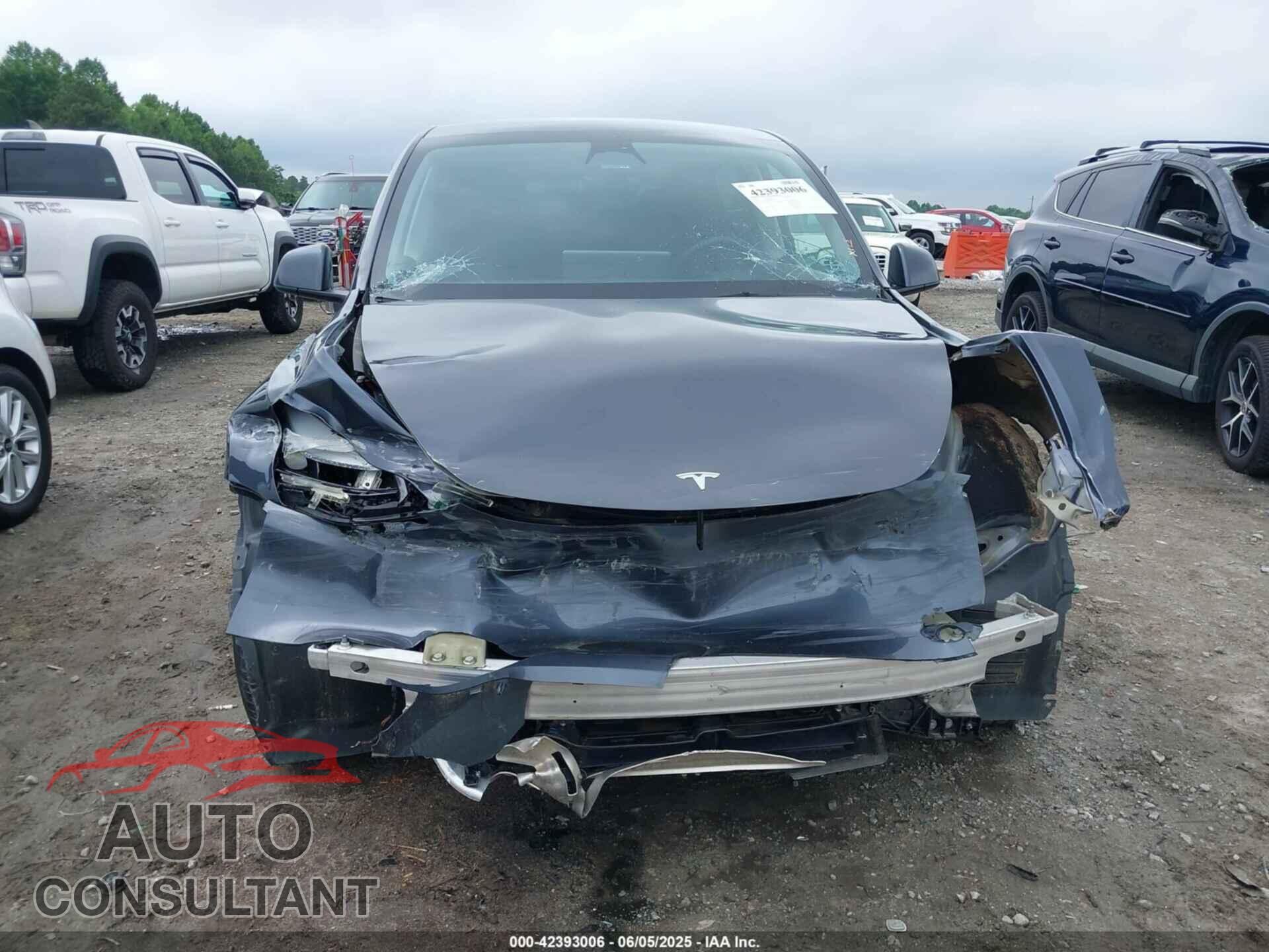 TESLA MODEL Y 2023 - 7SAYGDEE6PF764511