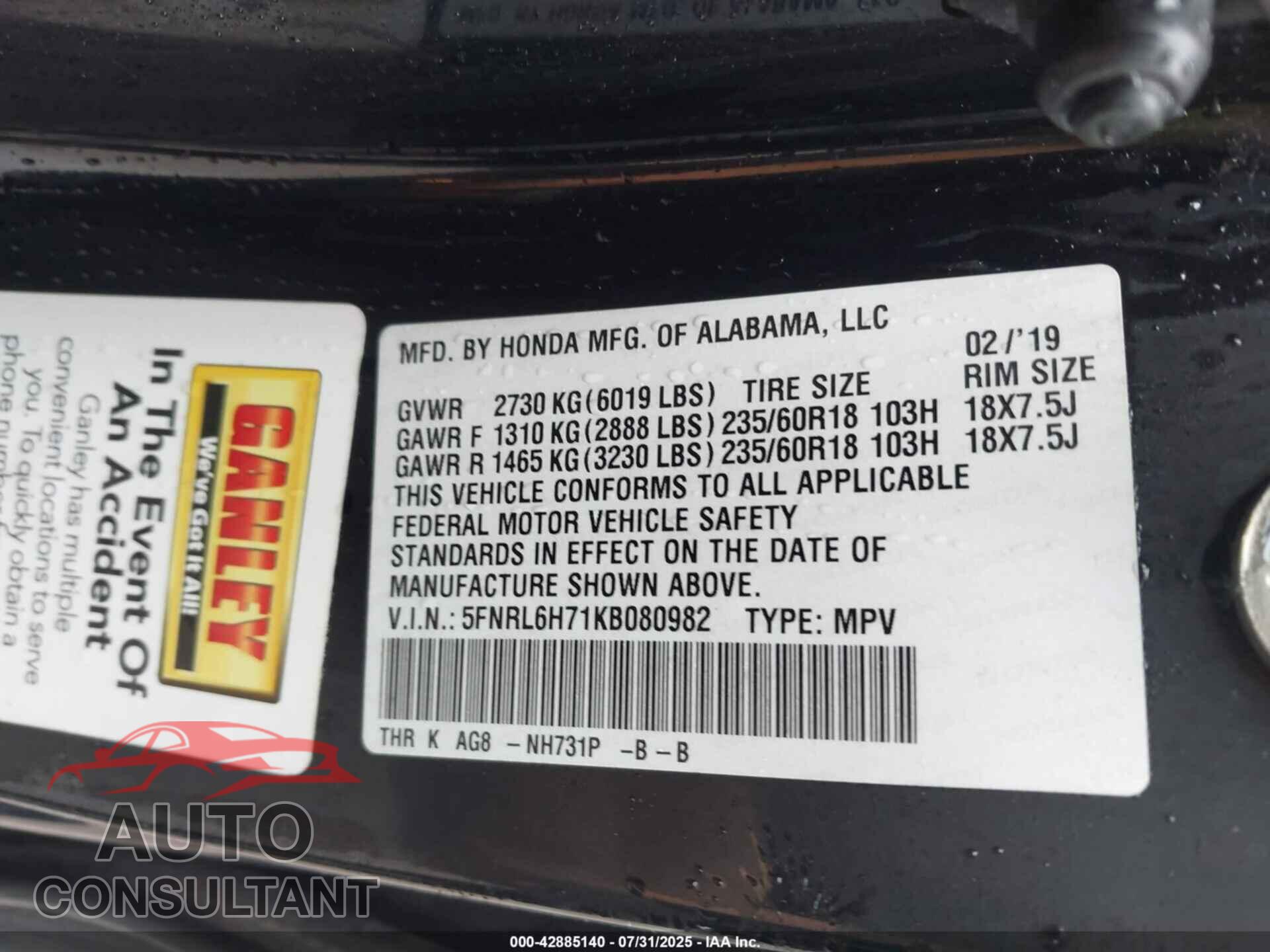 HONDA ODYSSEY 2019 - 5FNRL6H71KB080982