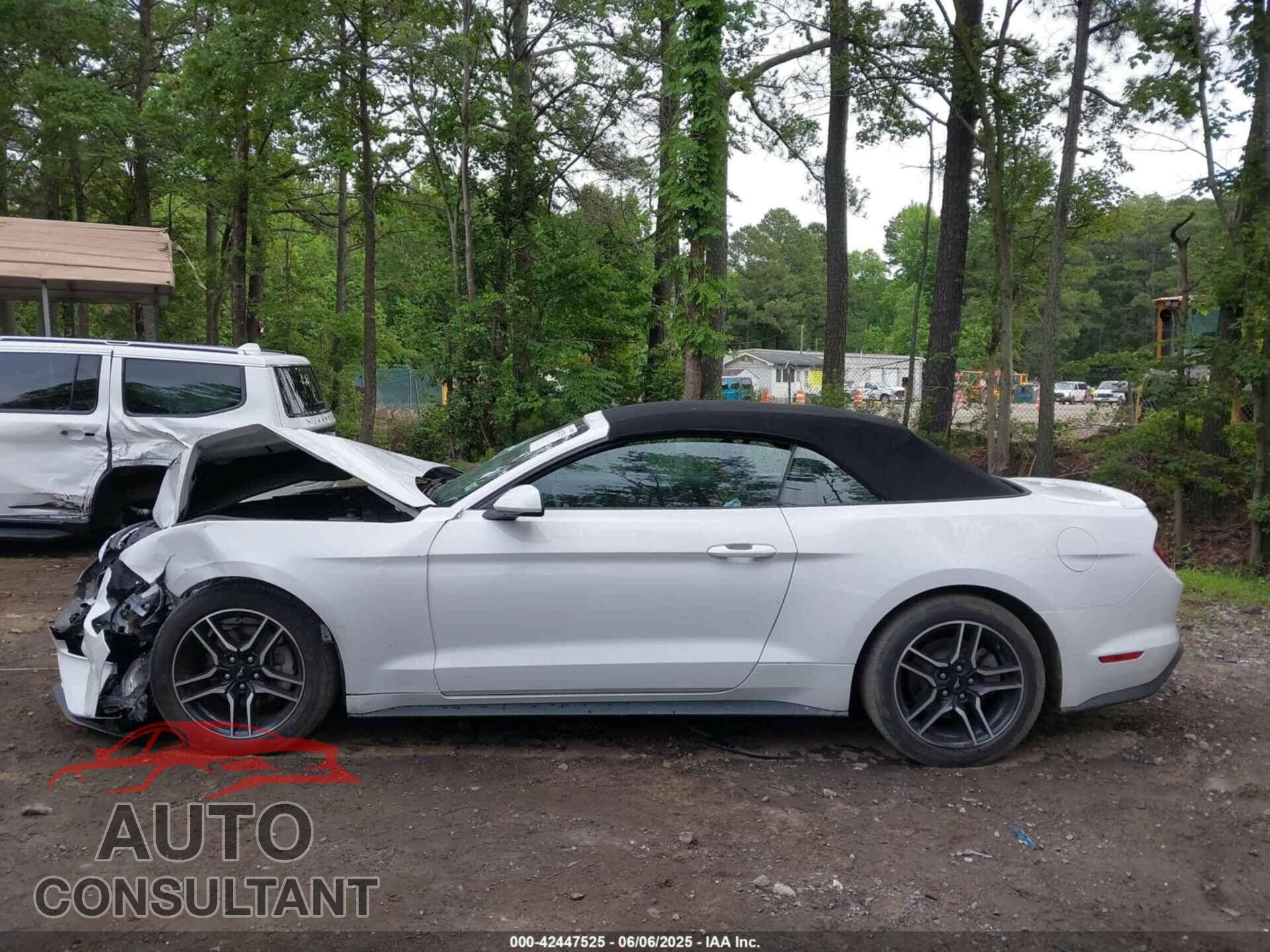 FORD MUSTANG 2022 - 1FATP8UH6N5119260
