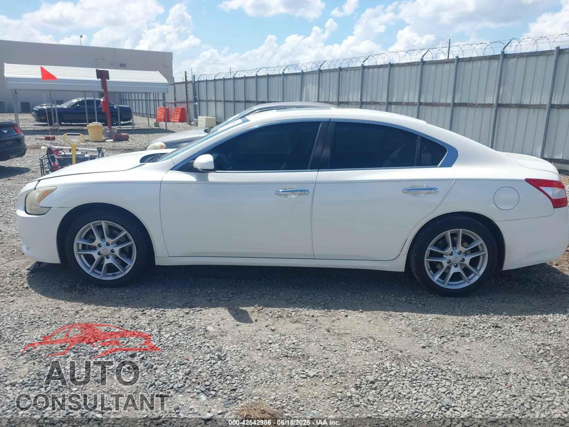 NISSAN MAXIMA 2009 - 1N4AA51E79C852064