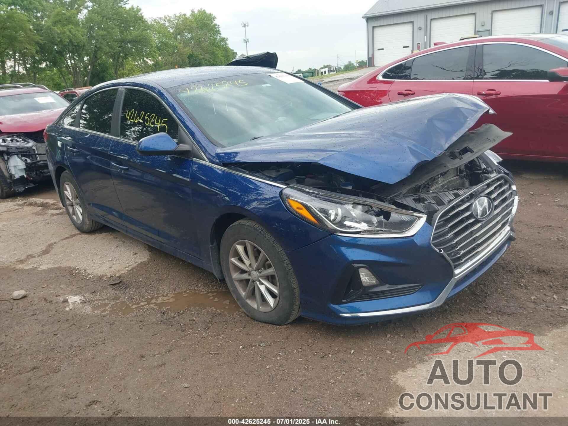 HYUNDAI SONATA 2019 - 5NPE24AF5KH800406