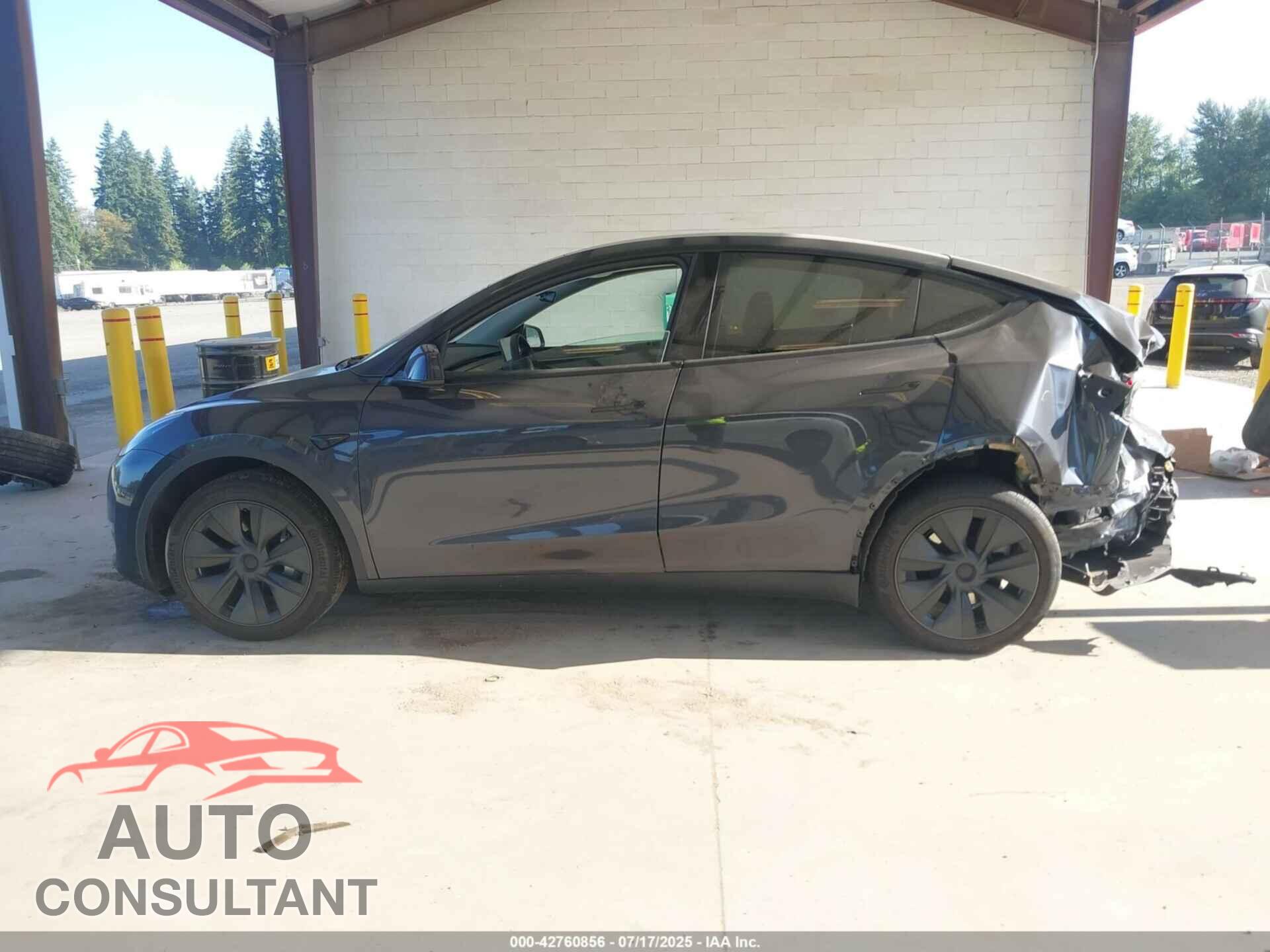 TESLA MODEL Y 2024 - 7SAYGDEE7RF153633