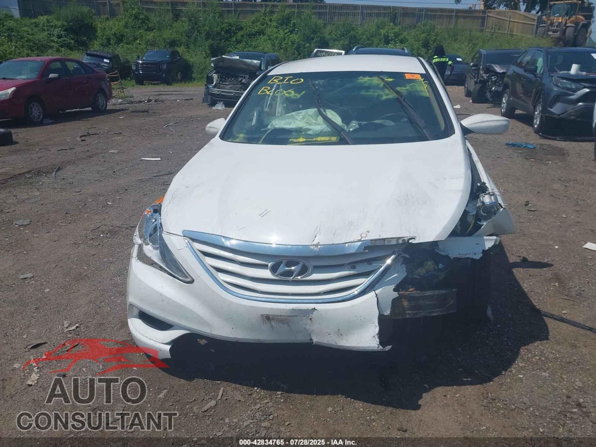 HYUNDAI SONATA 2013 - 5NPEB4AC3DH720448