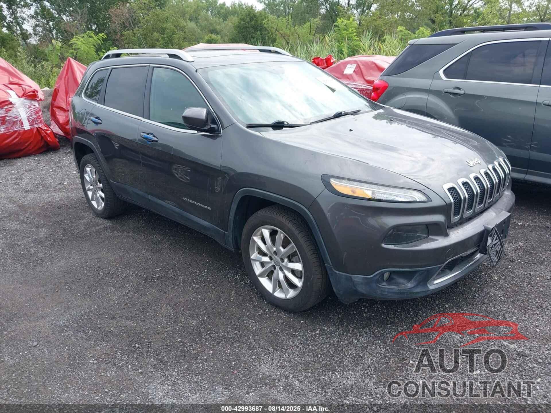 JEEP CHEROKEE 2014 - 1C4PJLDBXEW175224