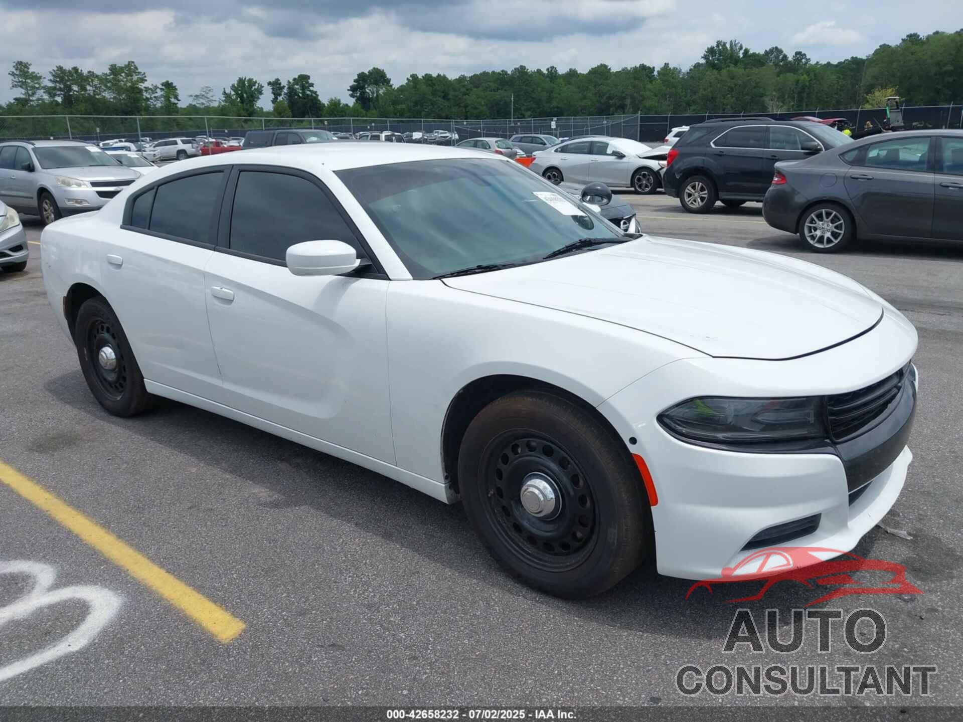 DODGE CHARGER 2019 - 2C3CDXKT3KH757625