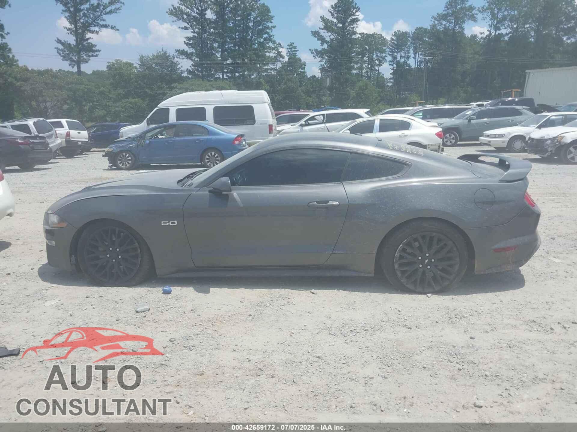 FORD MUSTANG 2019 - 1FA6P8CF8K5156948