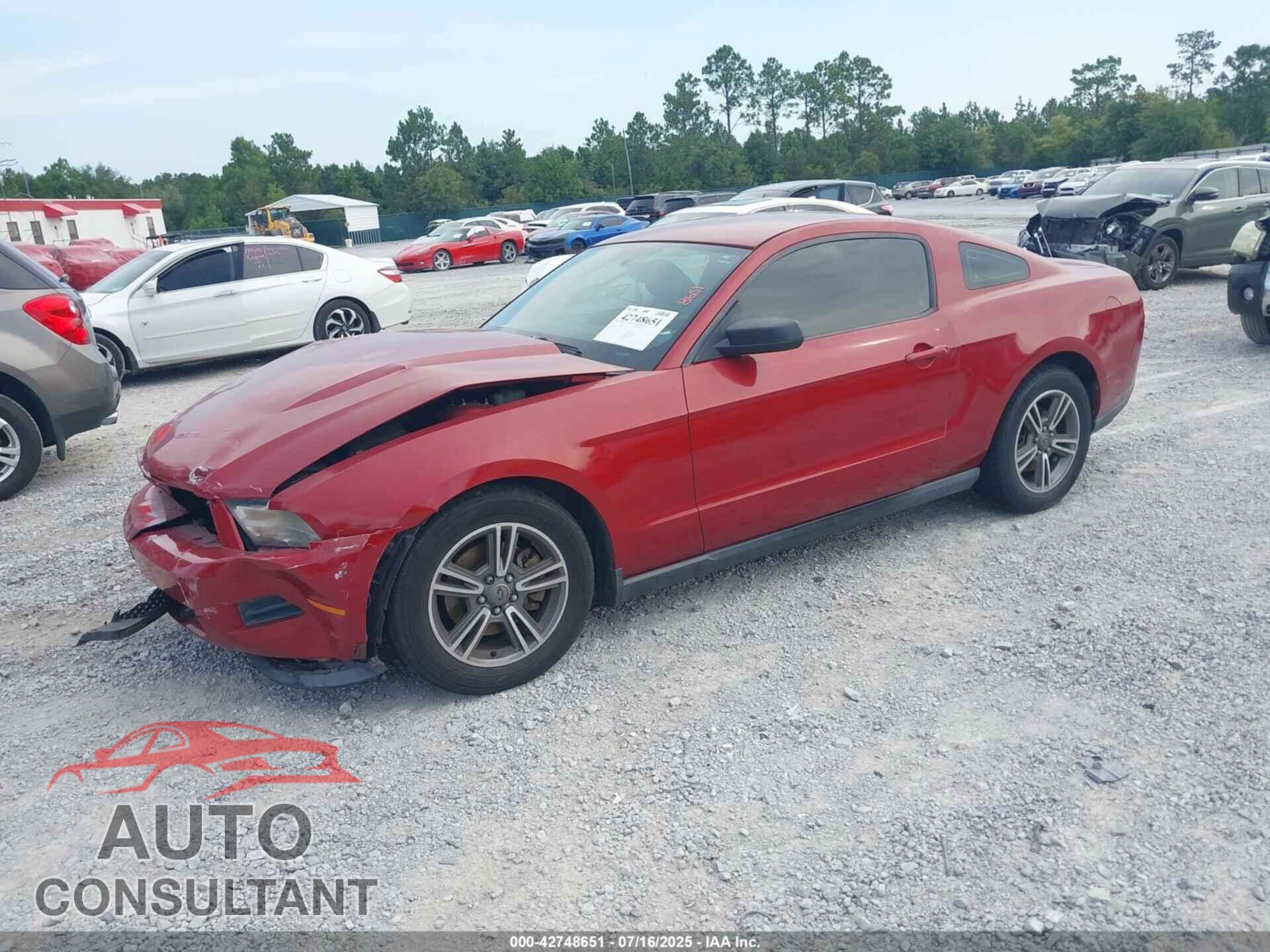 FORD MUSTANG 2011 - 1ZVBP8AM1B5166227
