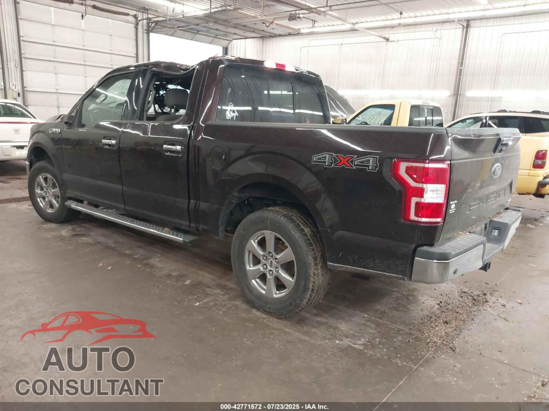 FORD F-150 2019 - 1FTEW1EP0KKD12875