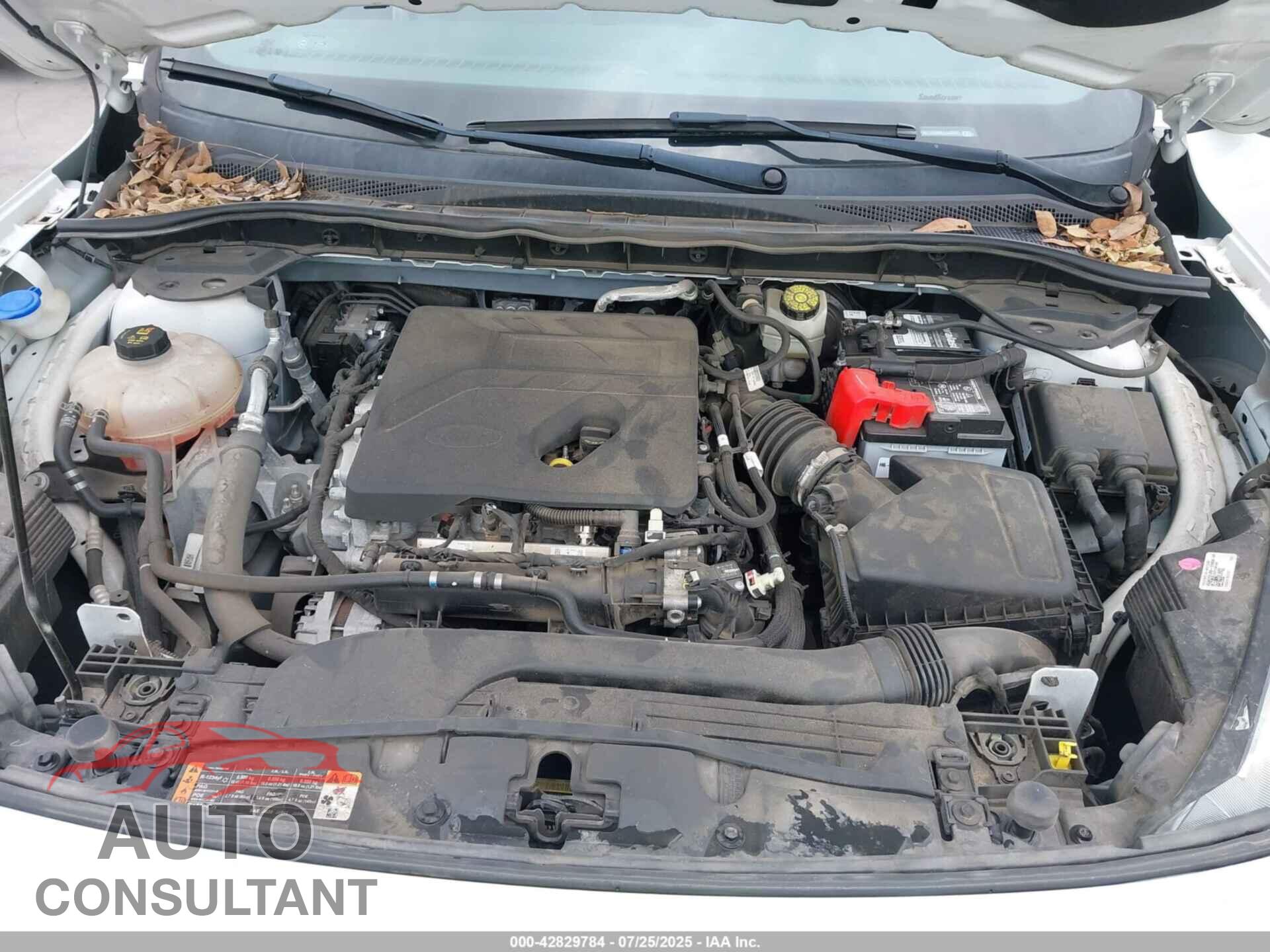 FORD ESCAPE 2020 - 1FMCU9G60LUA38661