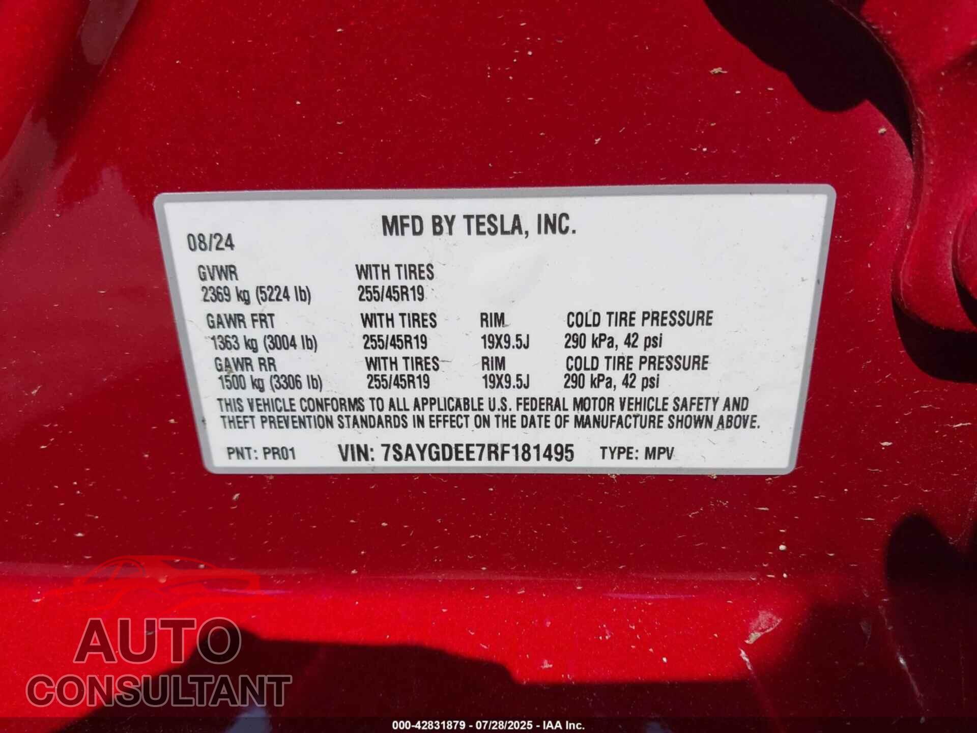 TESLA MODEL Y 2024 - 7SAYGDEE7RF181495