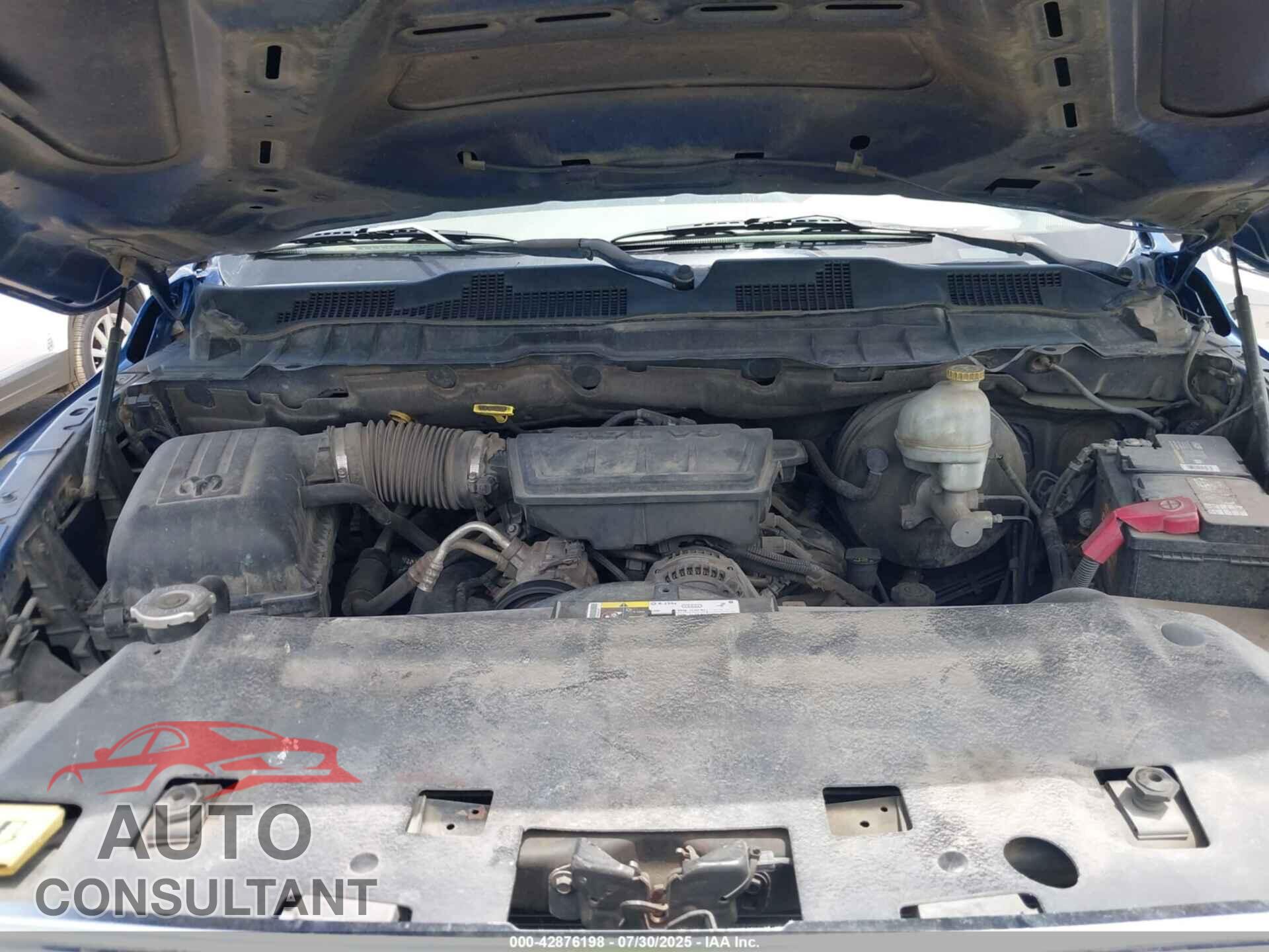 DODGE RAM 1500 2009 - 1D3HB13P09S719513